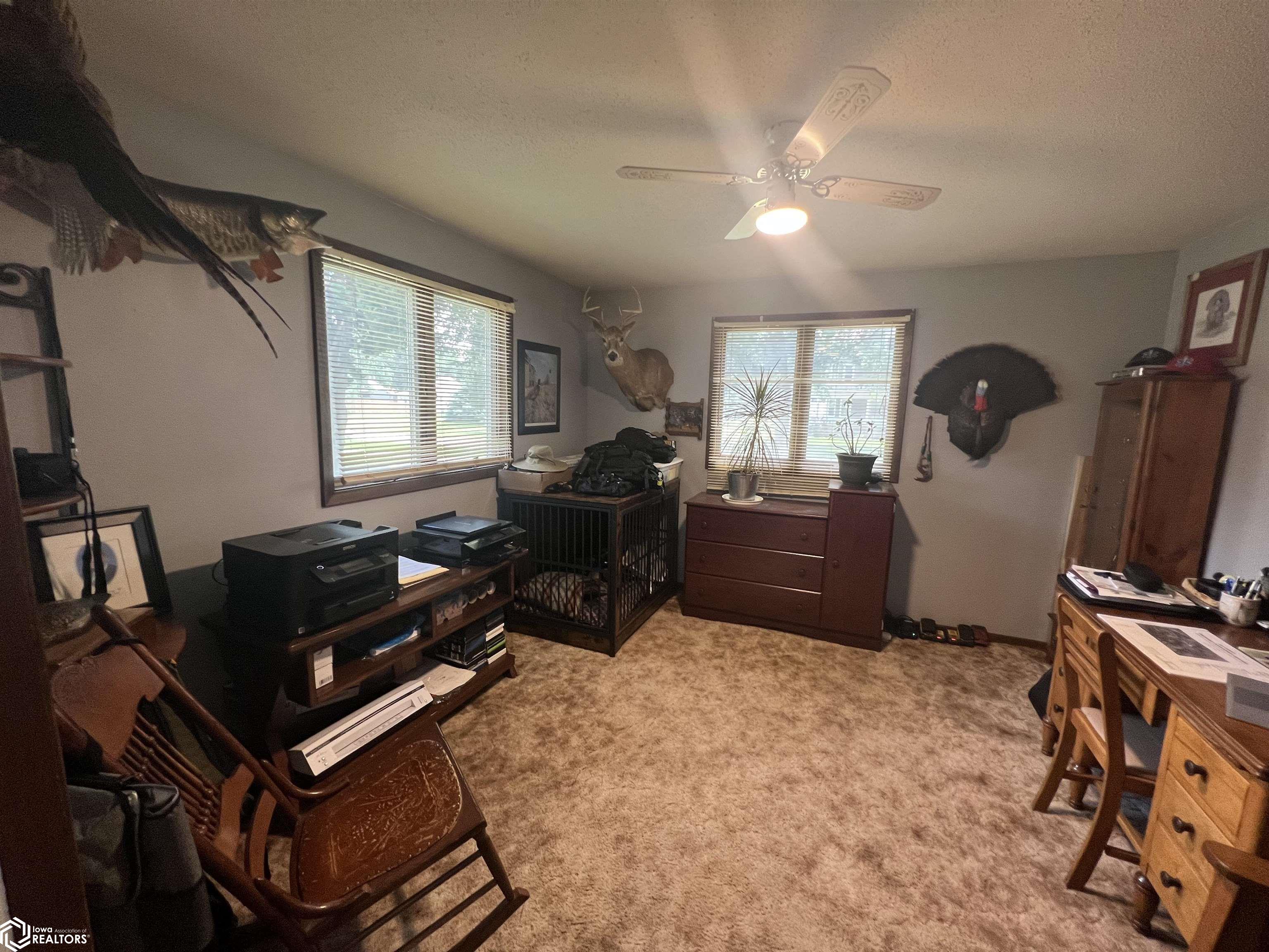 702 3rd Street, Battle Creek, Iowa image 13