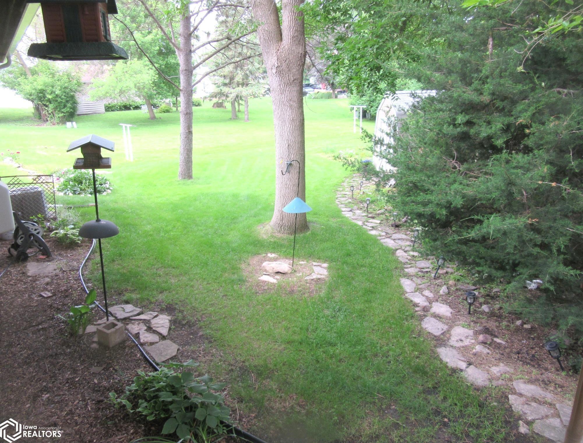 Back yard