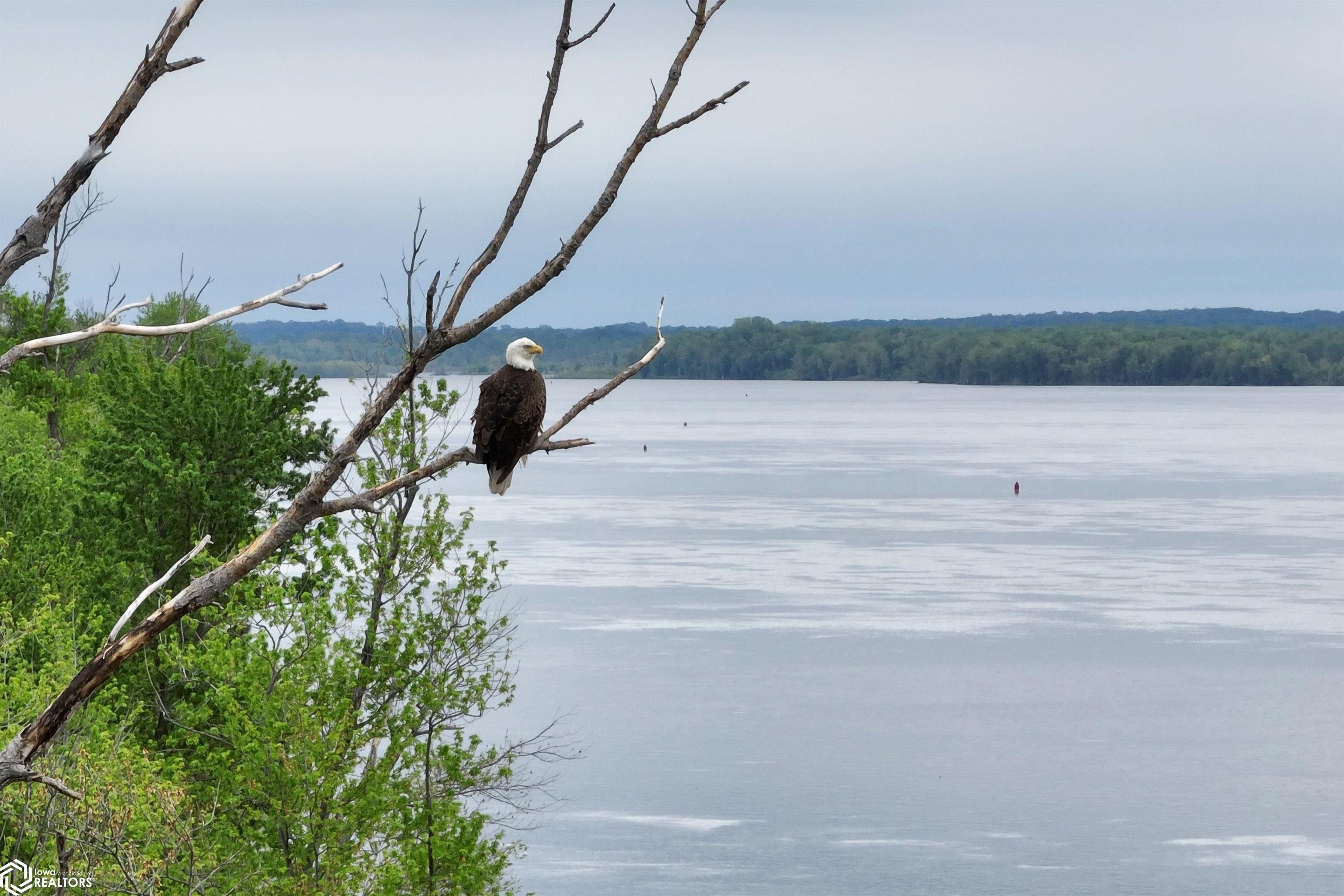 TBD Mississippi River, Wever, Iowa image 11