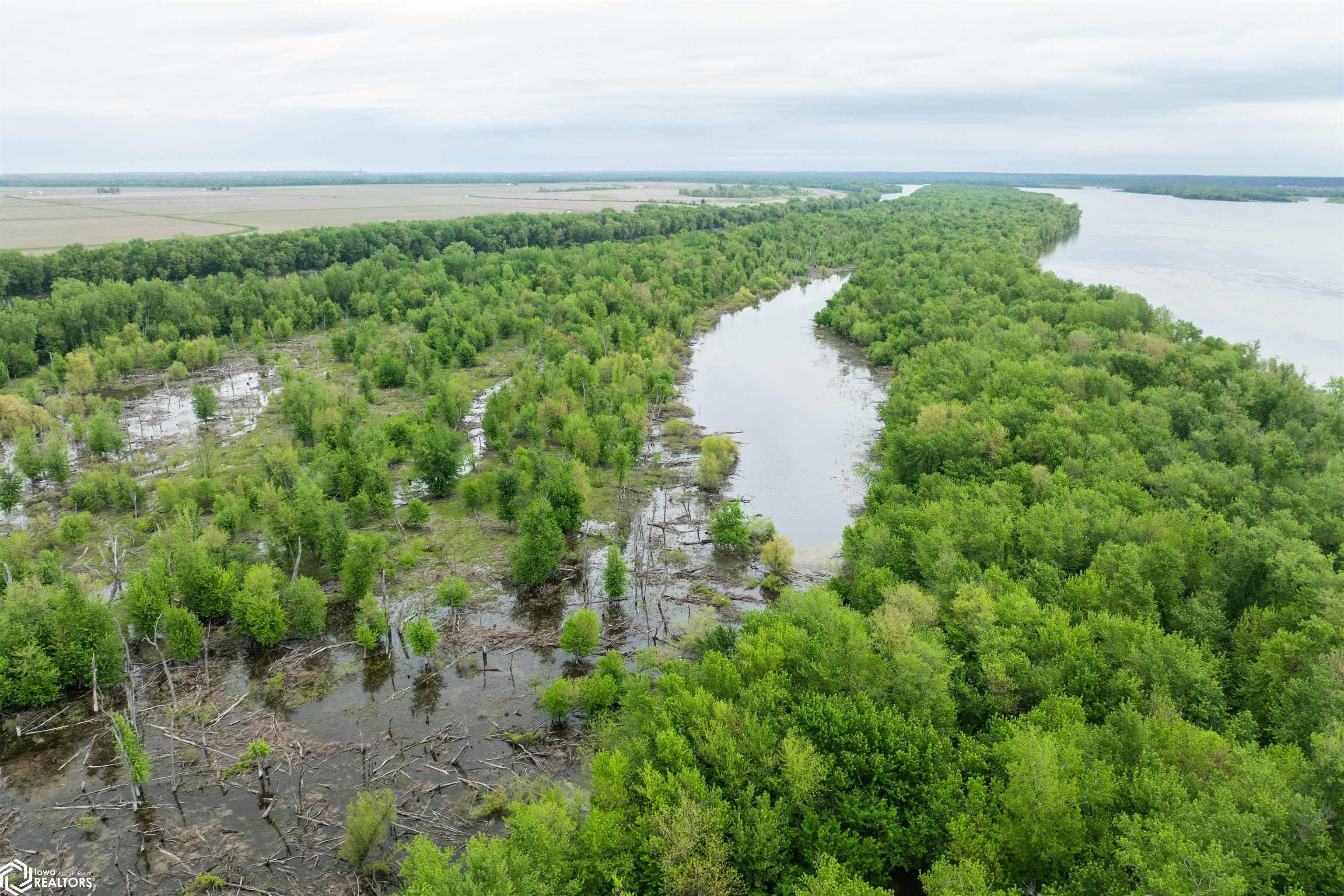 TBD Mississippi River, Wever, Iowa image 32