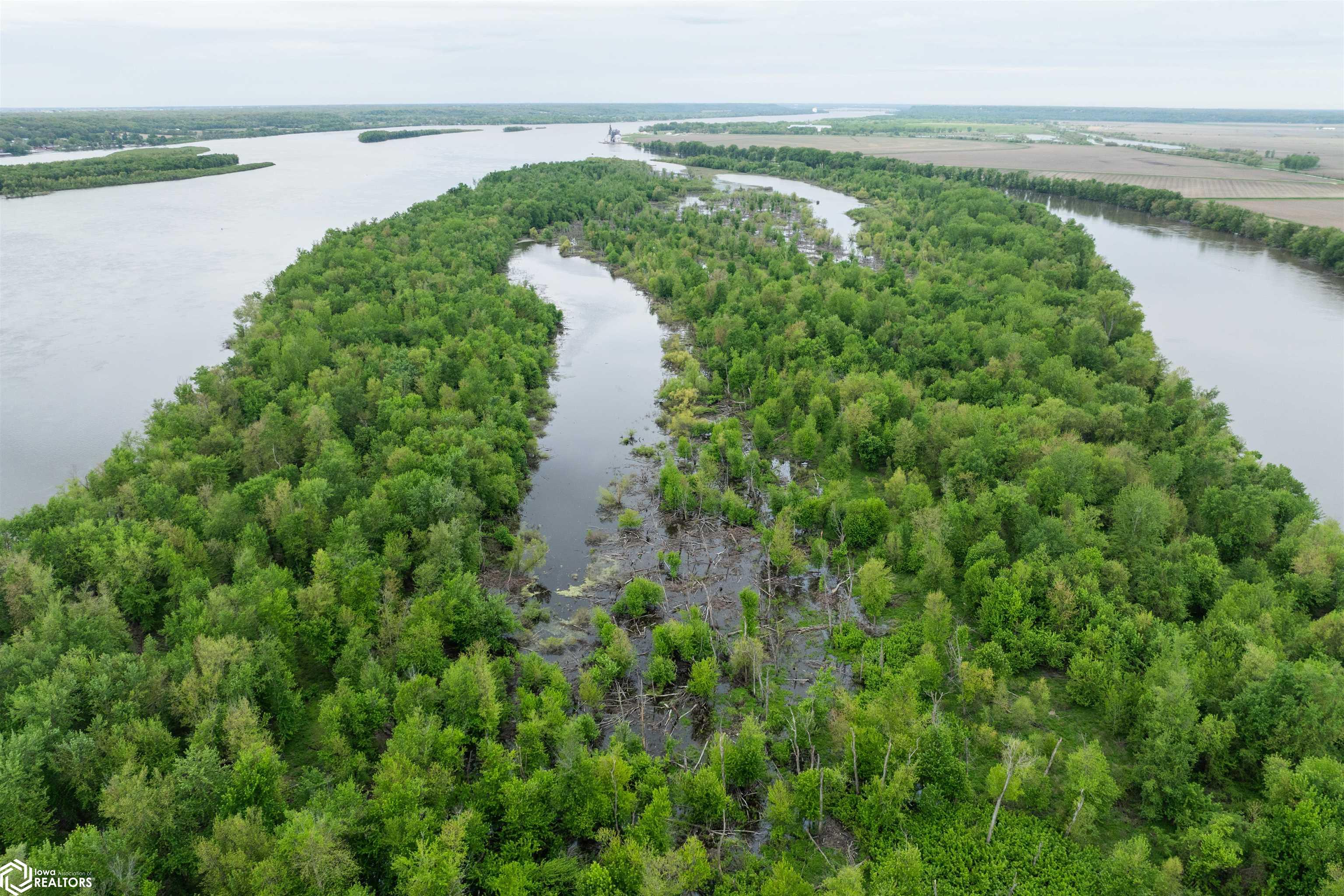 TBD Mississippi River, Wever, Iowa image 33