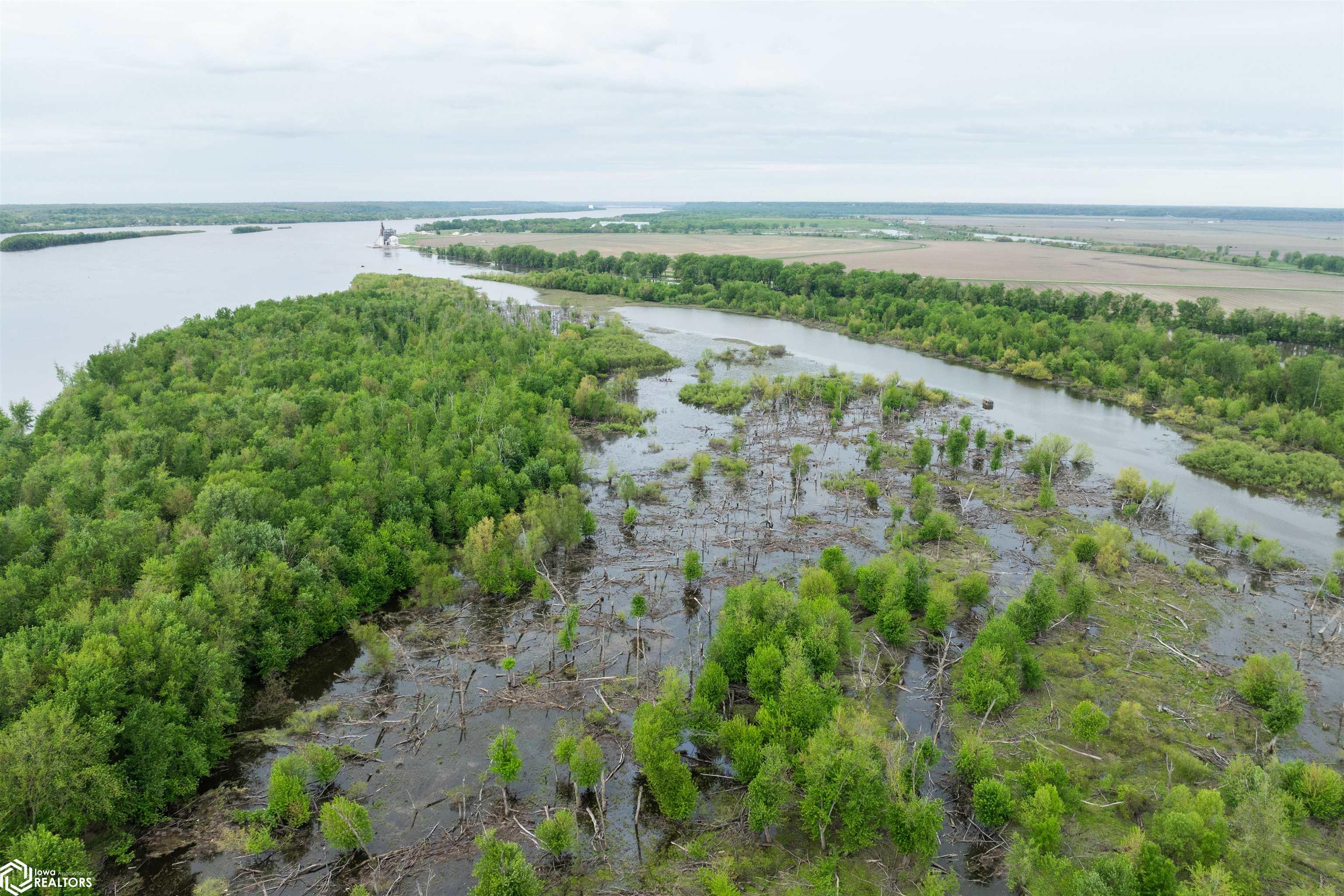 TBD Mississippi River, Wever, Iowa image 9