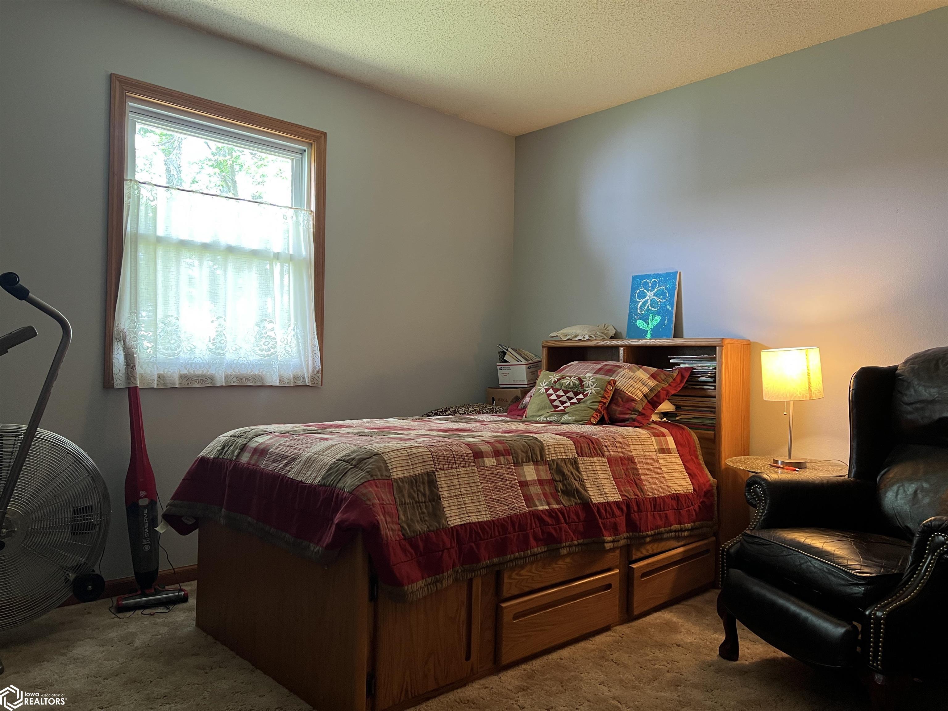 316 E North St, Stronghurst, Illinois image 13