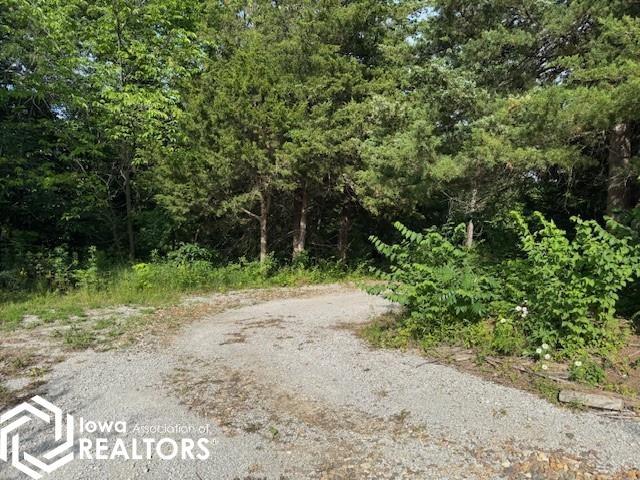 24610 236th Avenue, Exline, Iowa image 5