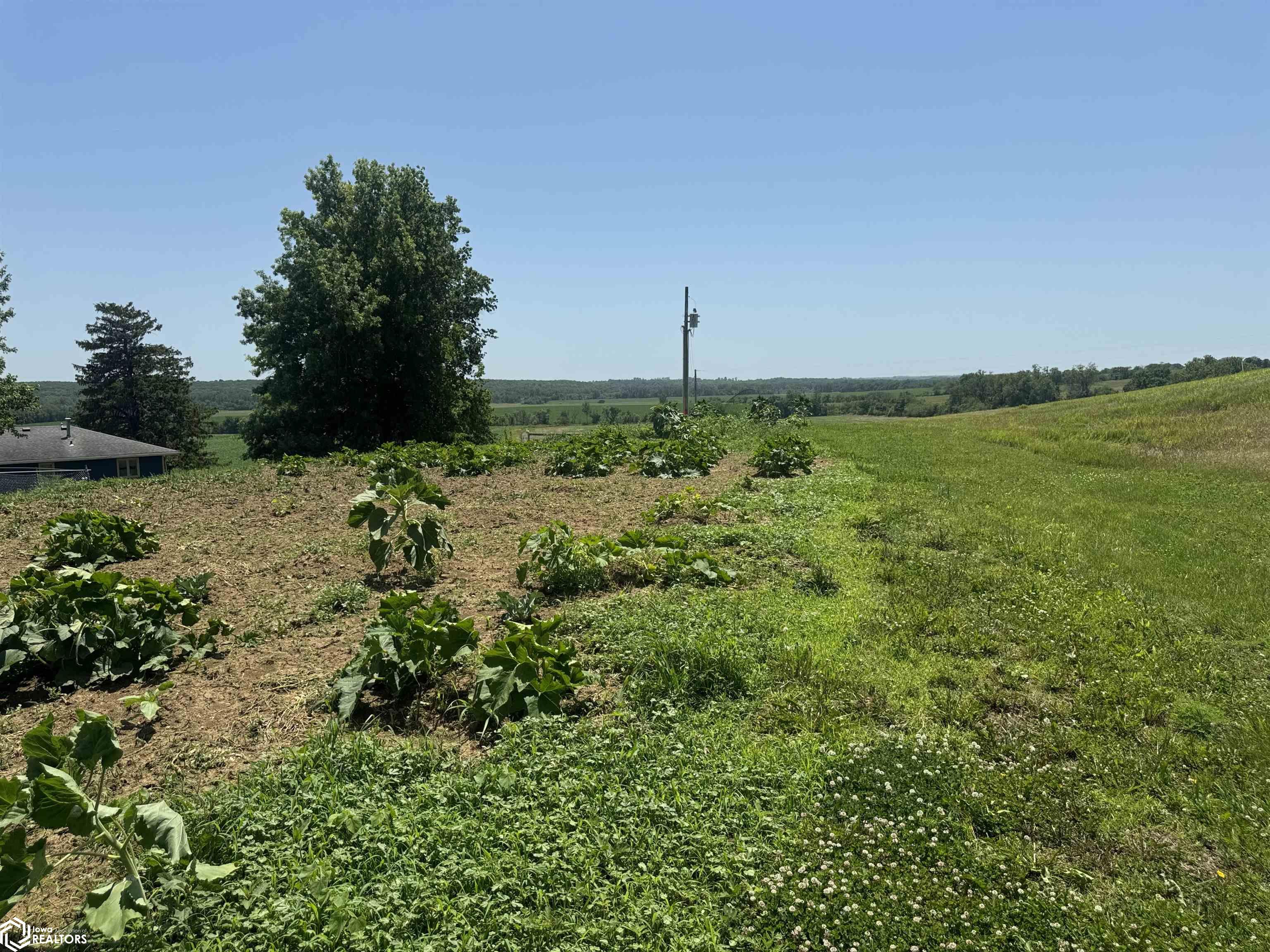 1170 310th Street, Blockton, Iowa image 14