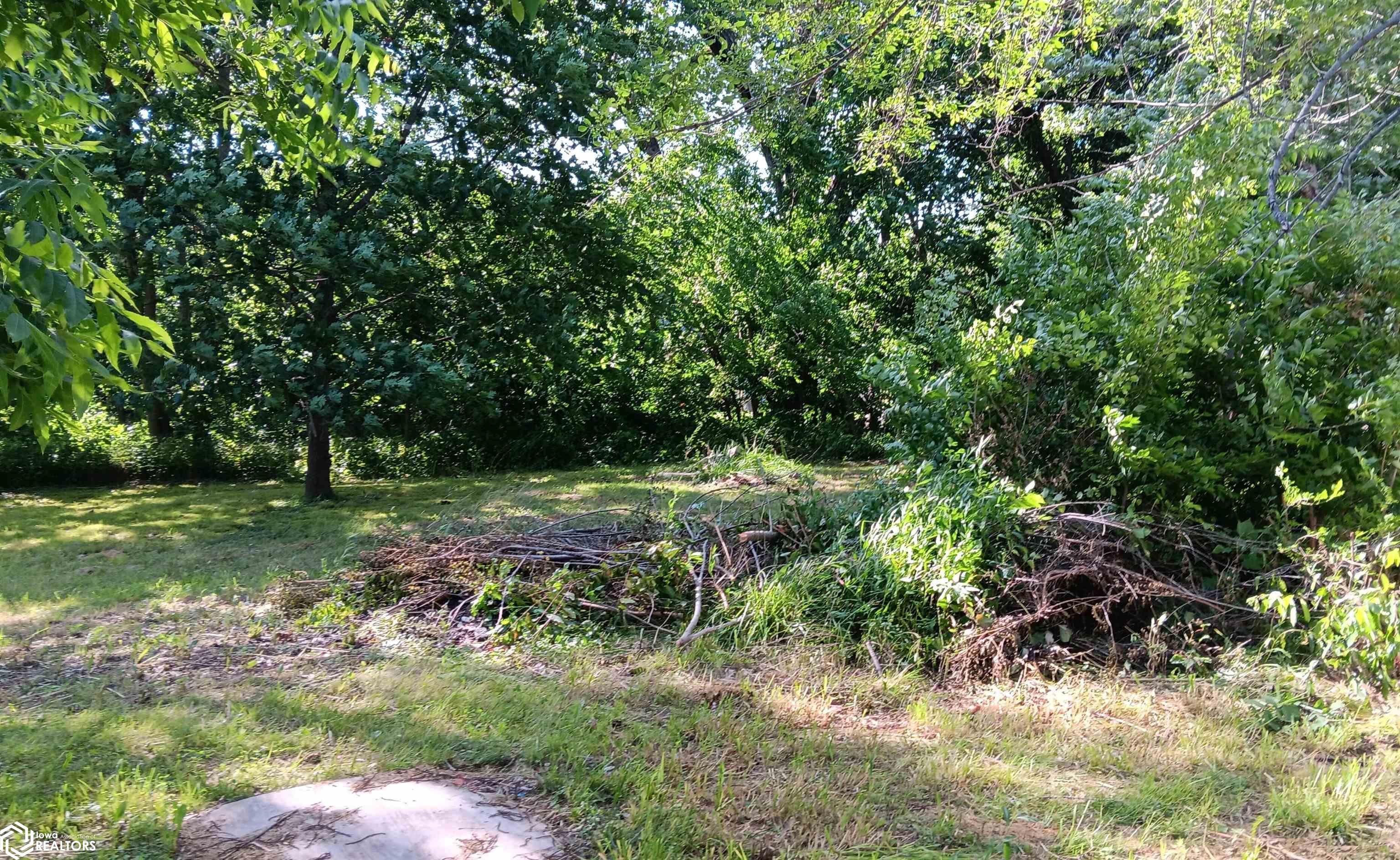 105 N 3rd Street, Mystic, Iowa image 3