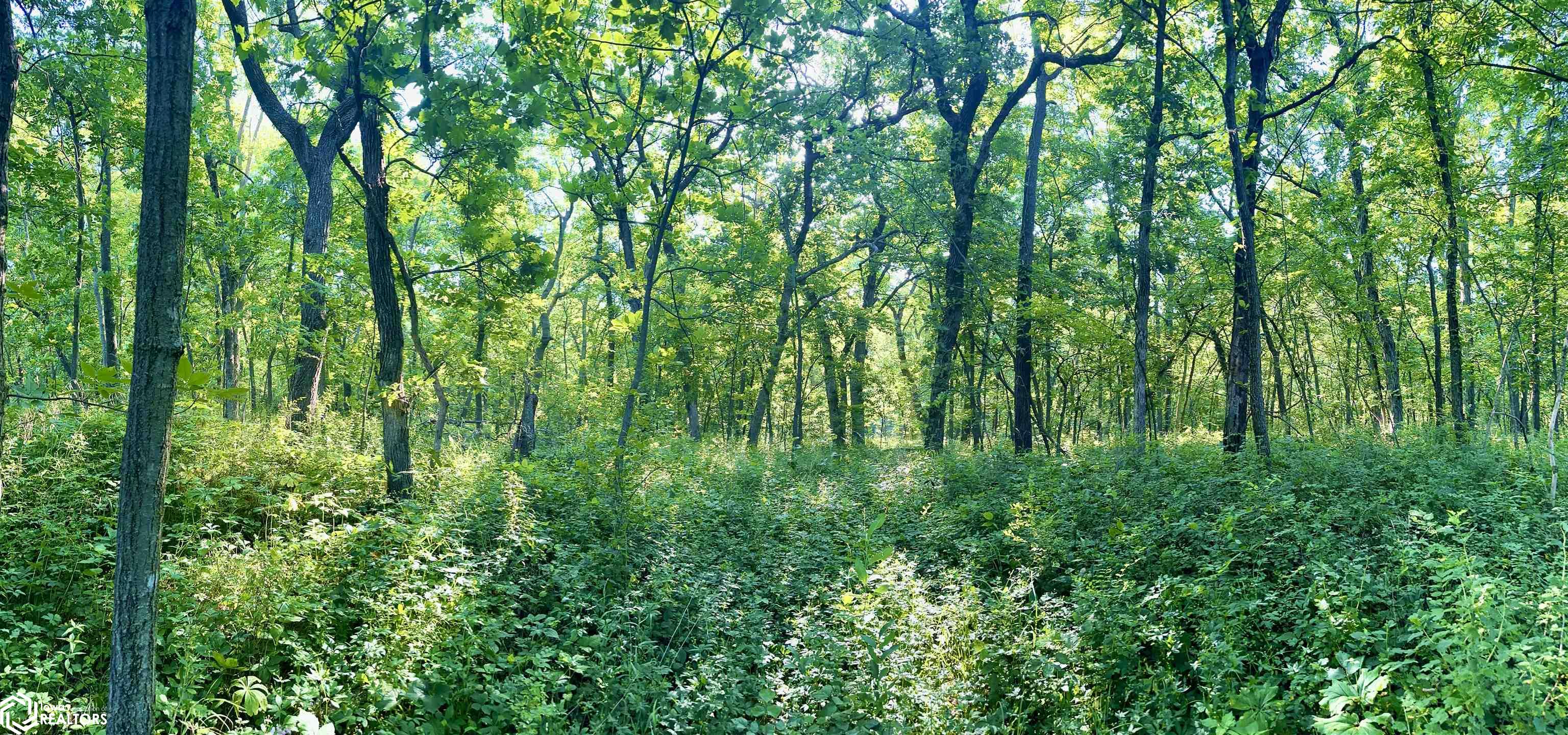 320th St. And Tennessee Ave., Bedford, Iowa image 3