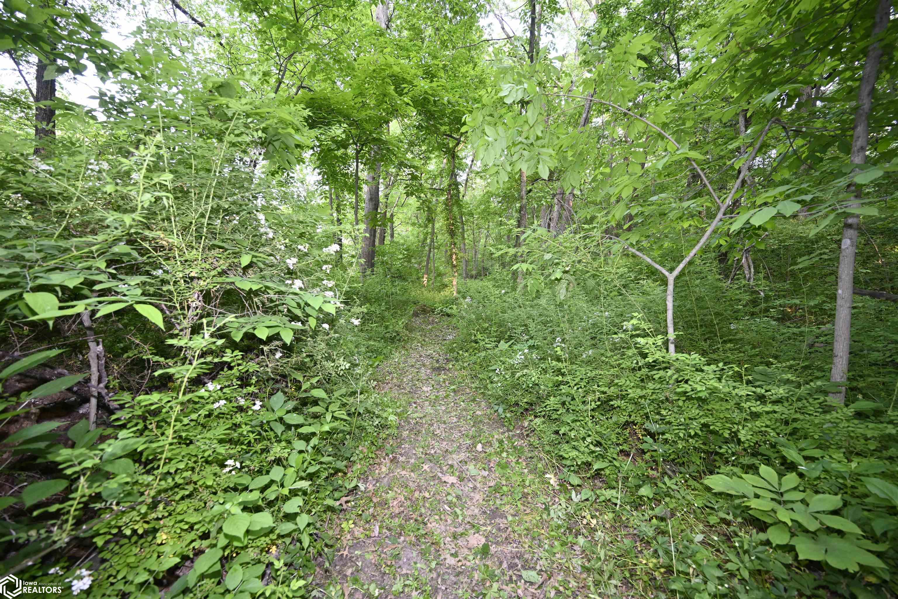 16280 213th Avenue, Centerville, Iowa image 22