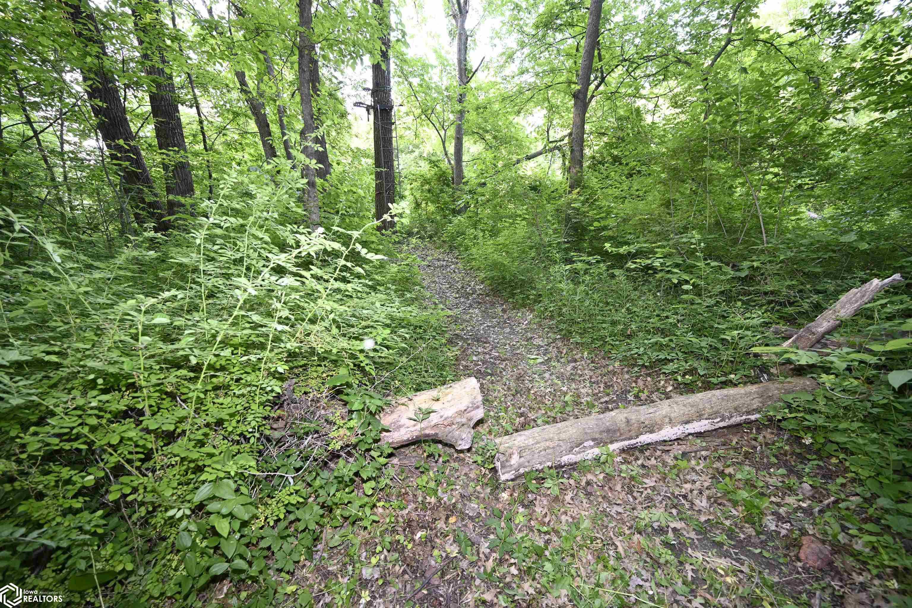 16280 213th Avenue, Centerville, Iowa image 23