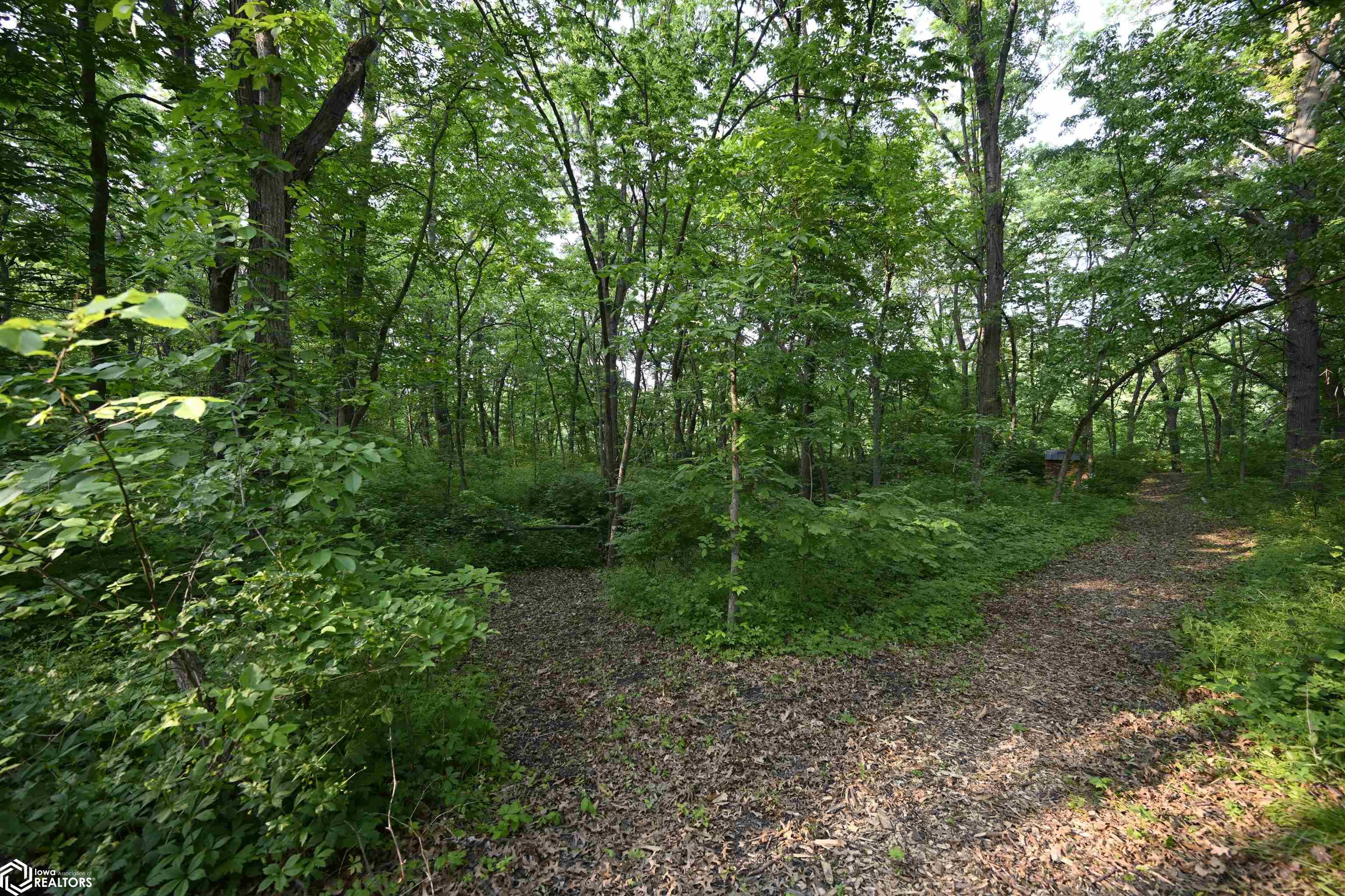 16280 213th Avenue, Centerville, Iowa image 4