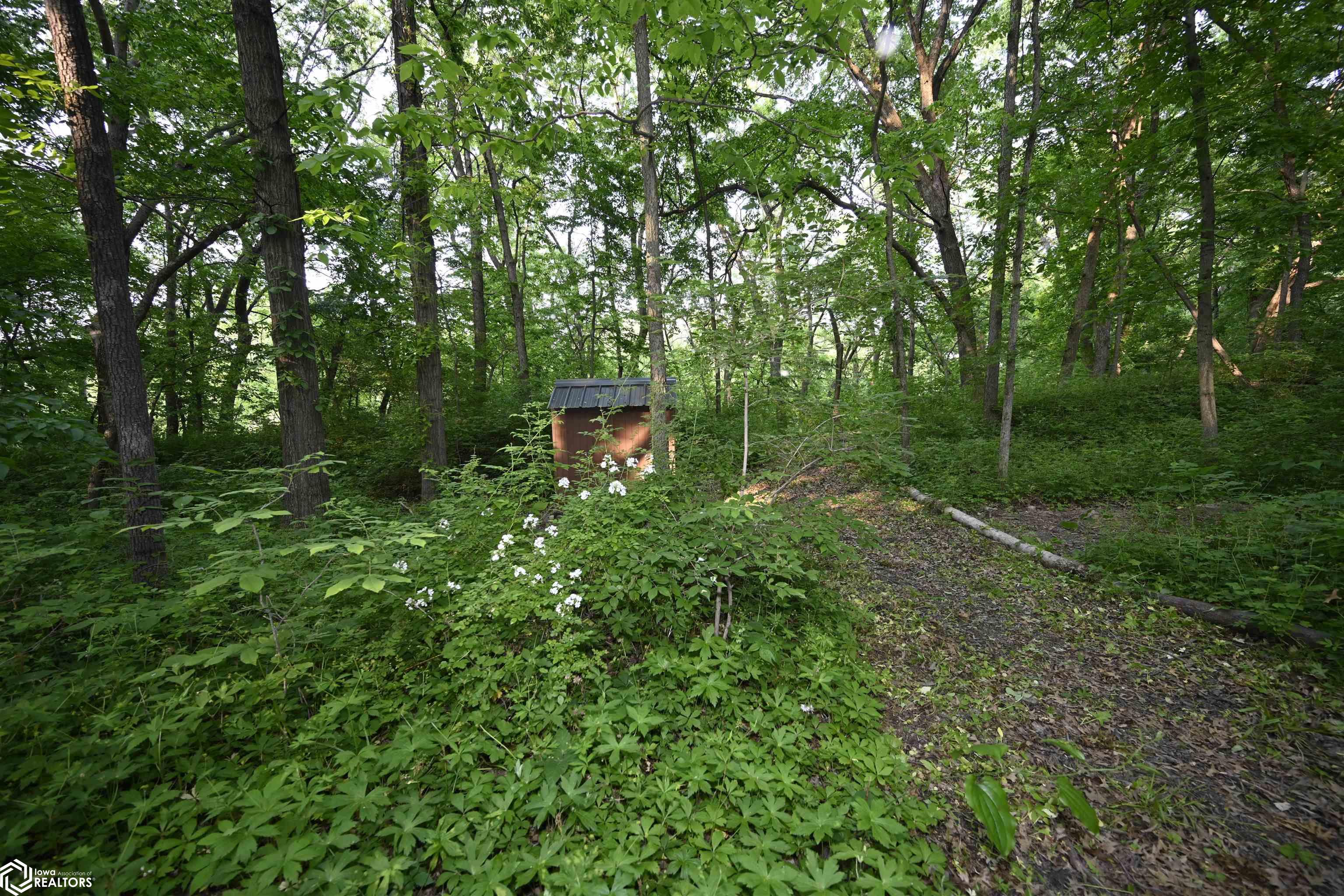 16280 213th Avenue, Centerville, Iowa image 6