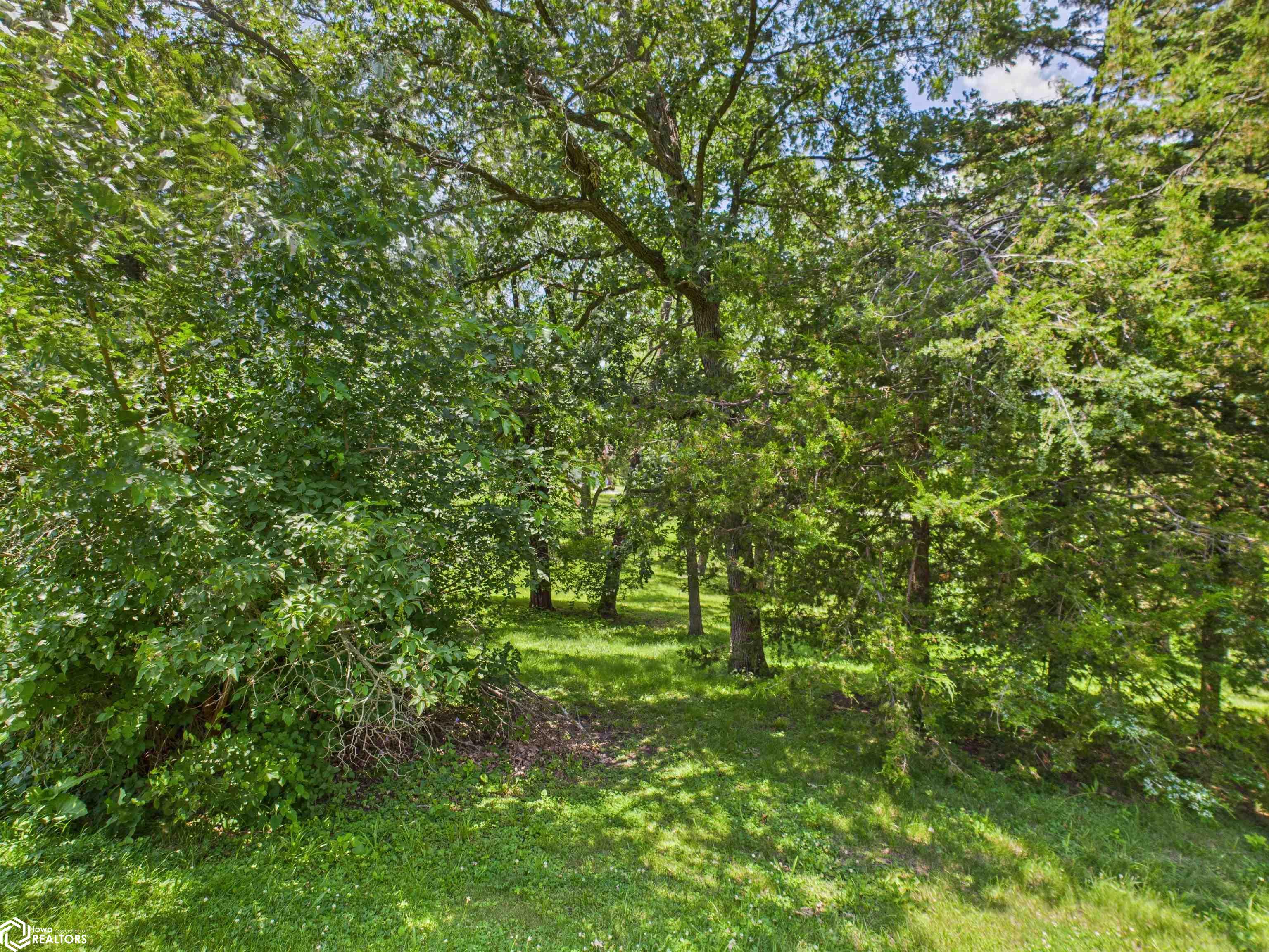 501 Spring Street, Hedrick, Iowa image 4