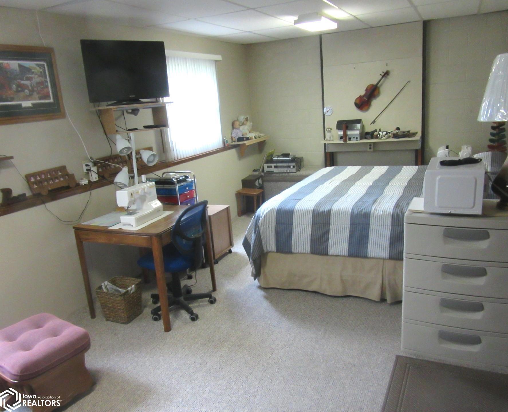 Lower-level Bedroom or Family Room