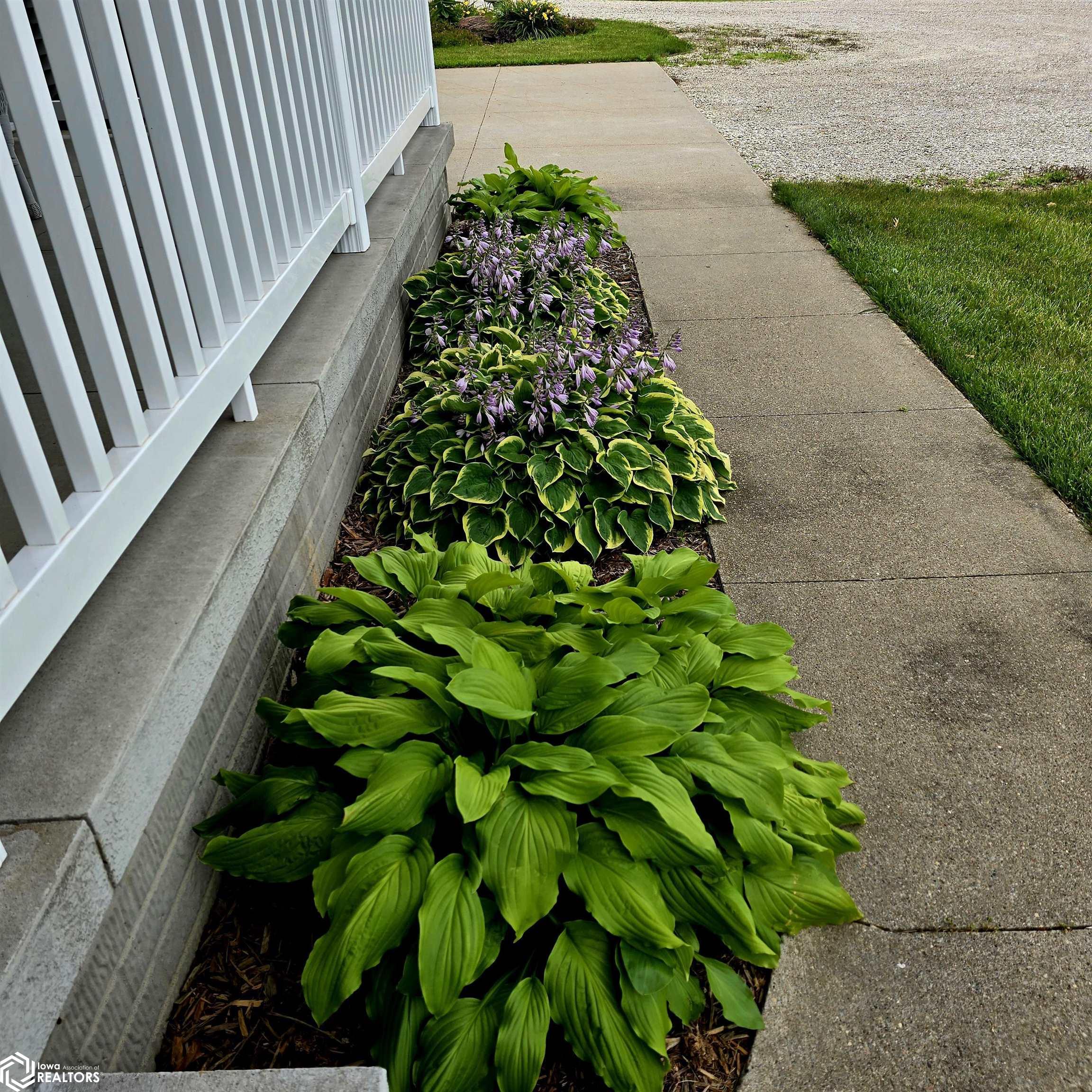 2196 Oxford Avenue, Oskaloosa, Iowa image 4