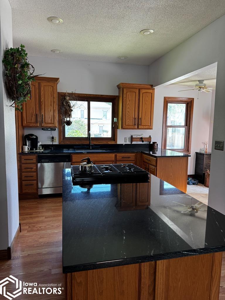 1314 Des Moines Street, Webster City, Iowa image 11