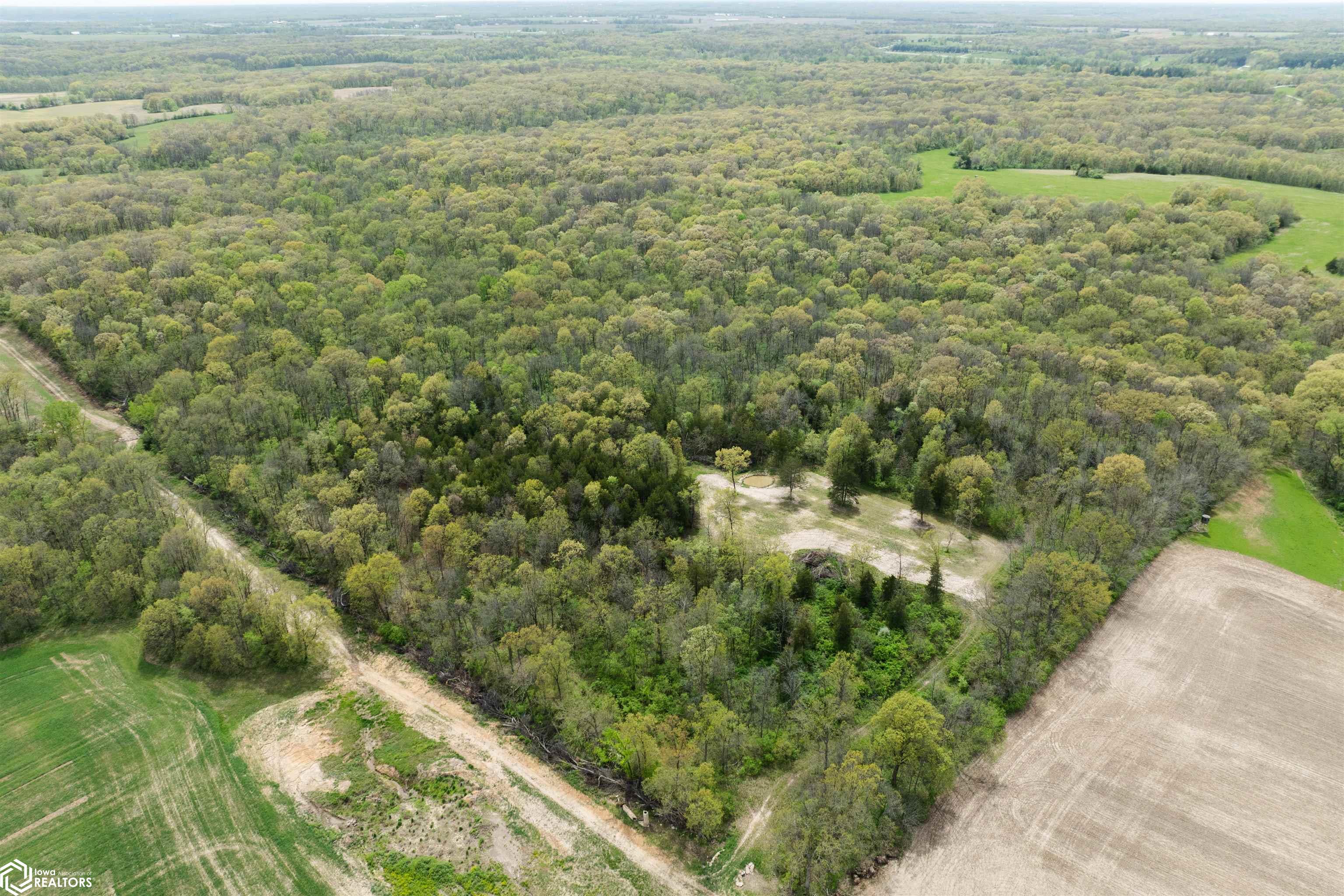 TBD 194th Avenue, Argyle, Iowa image 1