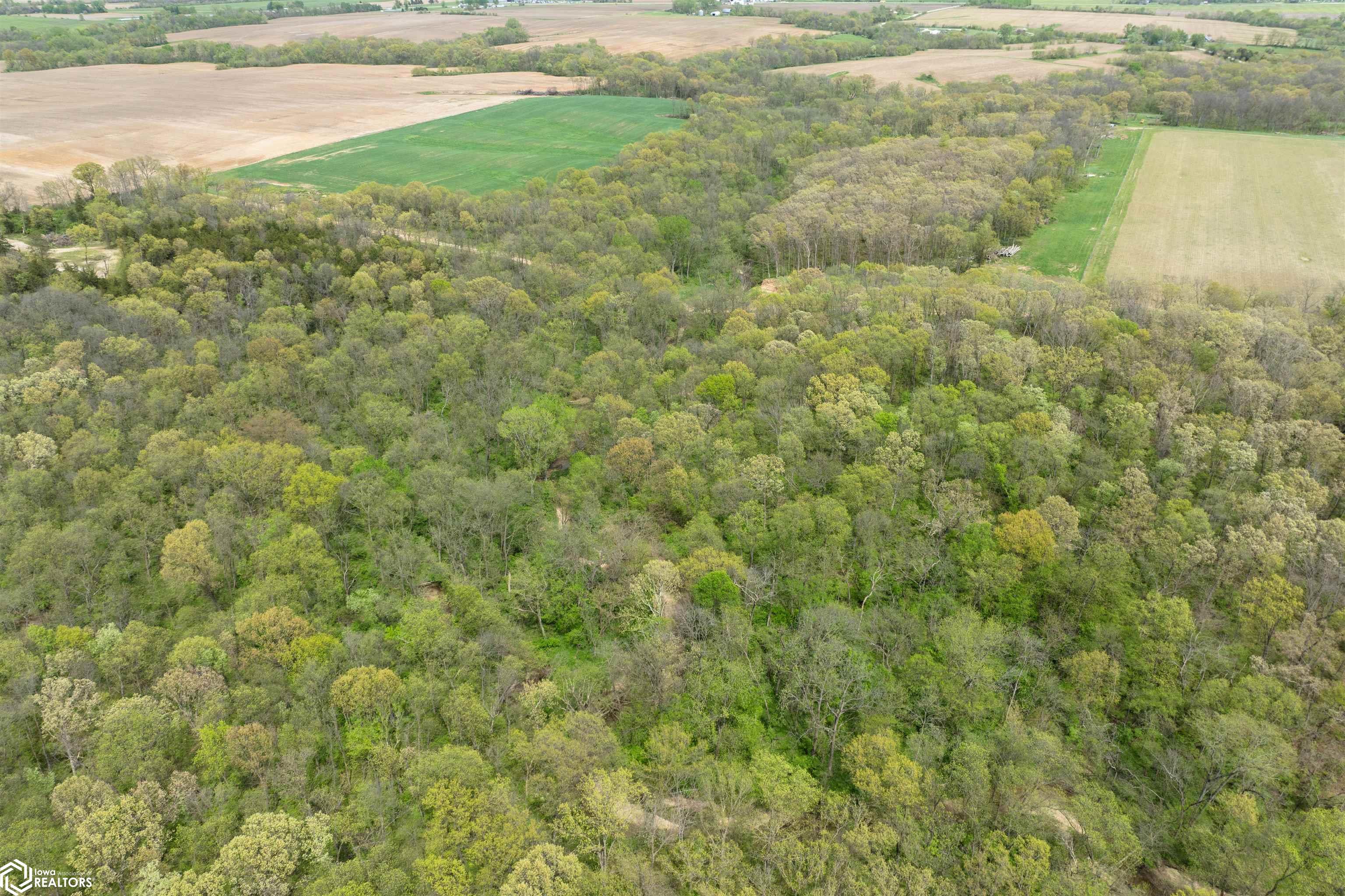 TBD 194th Avenue, Argyle, Iowa image 25