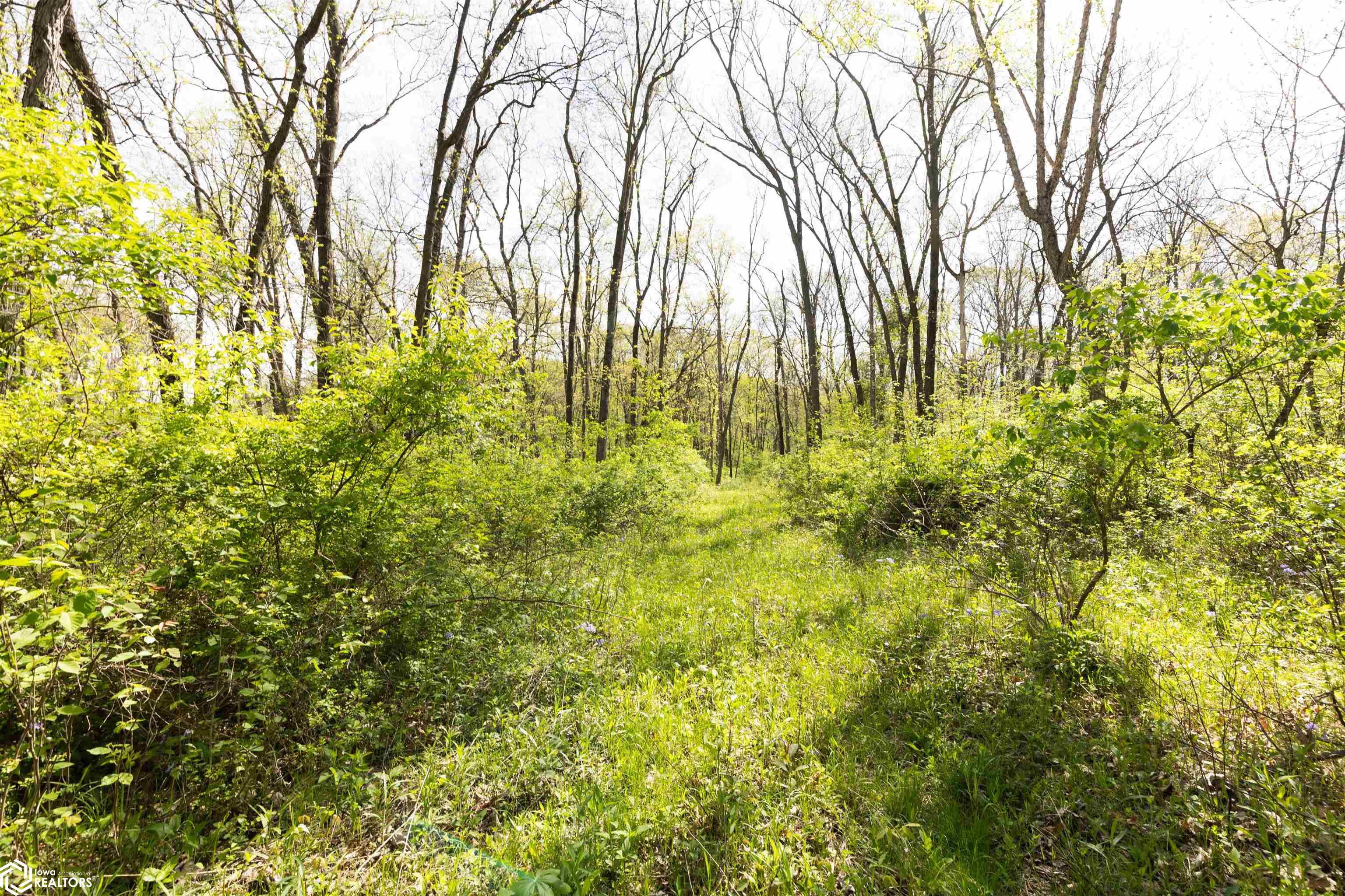 TBD 194th Avenue, Argyle, Iowa image 33