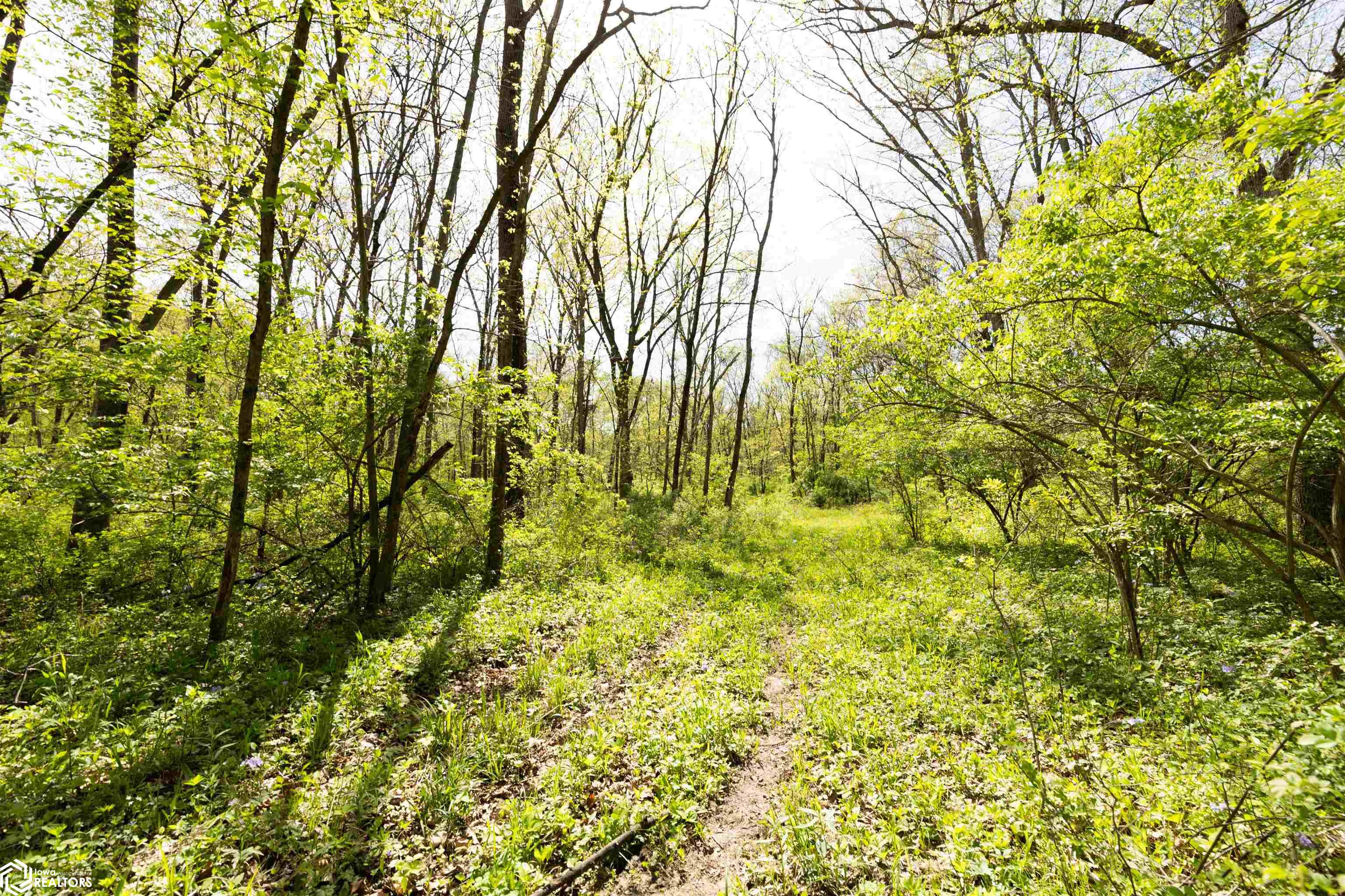 TBD 194th Avenue, Argyle, Iowa image 34