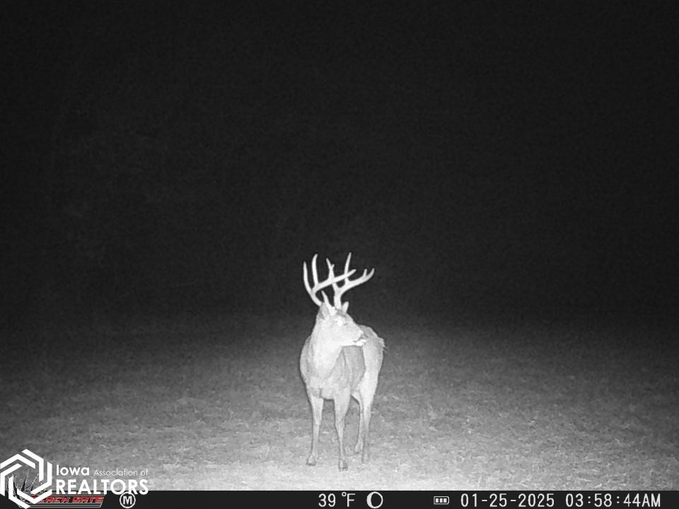 TBD 194th Avenue, Argyle, Iowa image 6