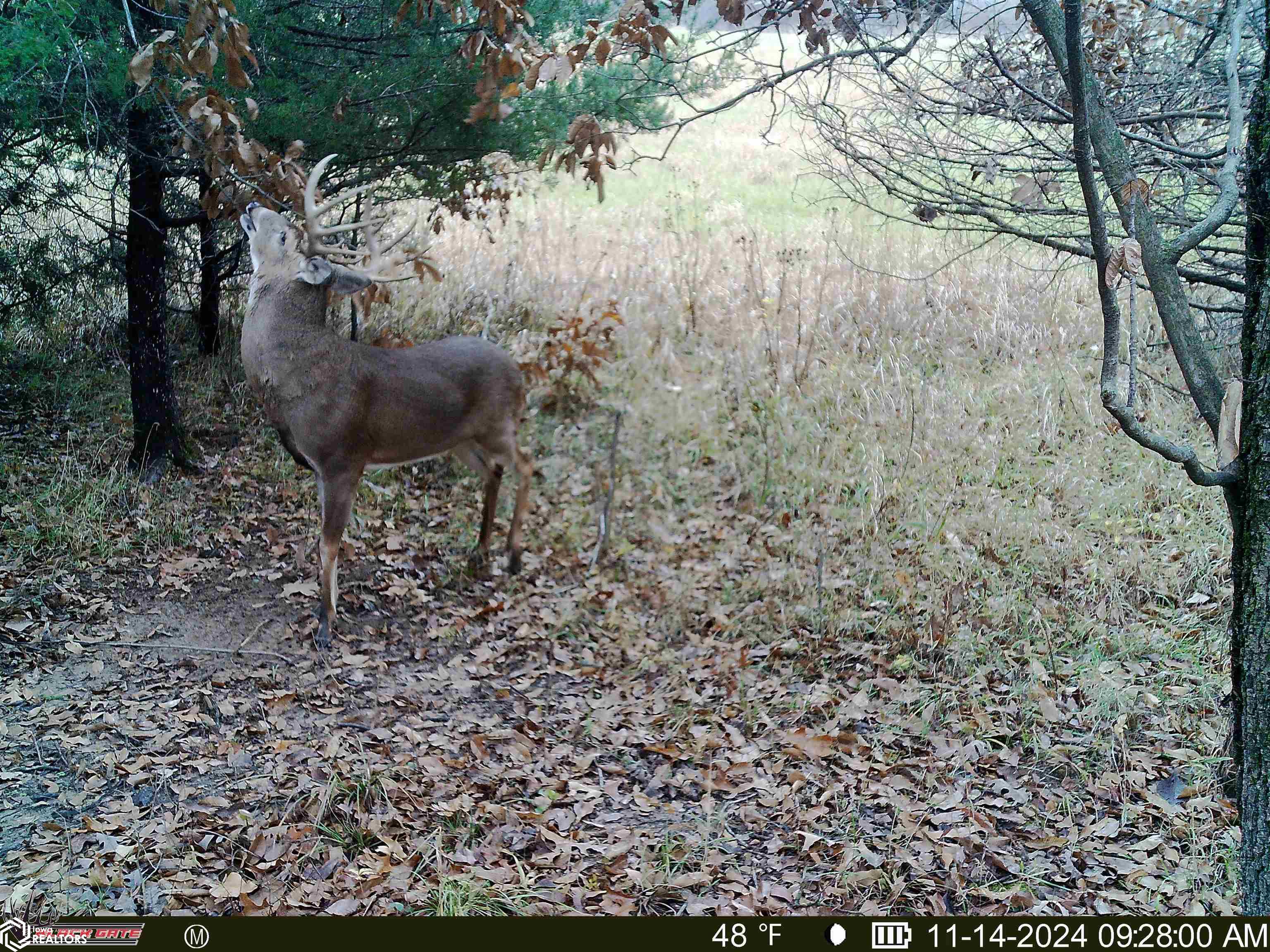 TBD 194th Avenue, Argyle, Iowa image 7