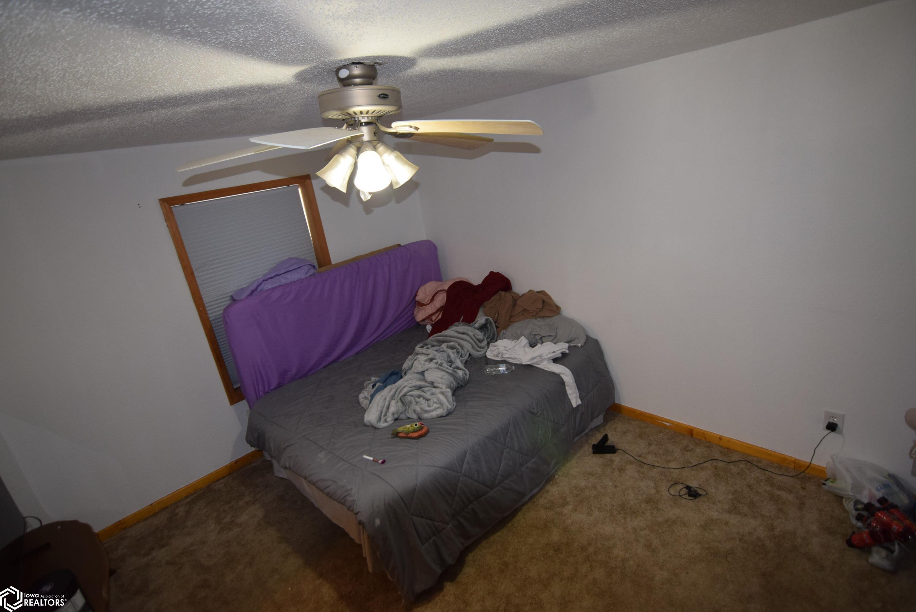 1116 James Street, Webster City, Iowa image 6
