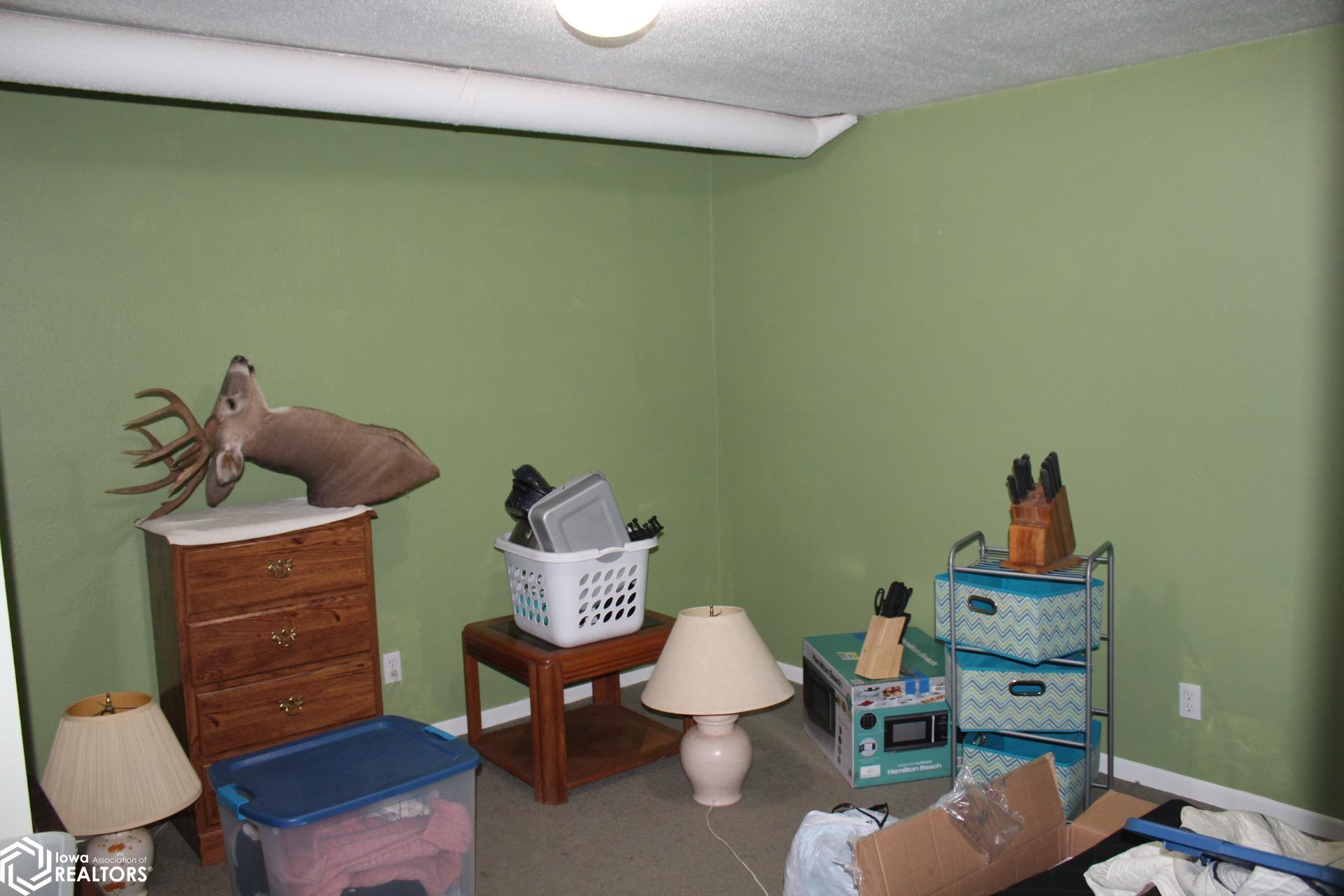 110 Indian Avenue, Forest City, Iowa image 30
