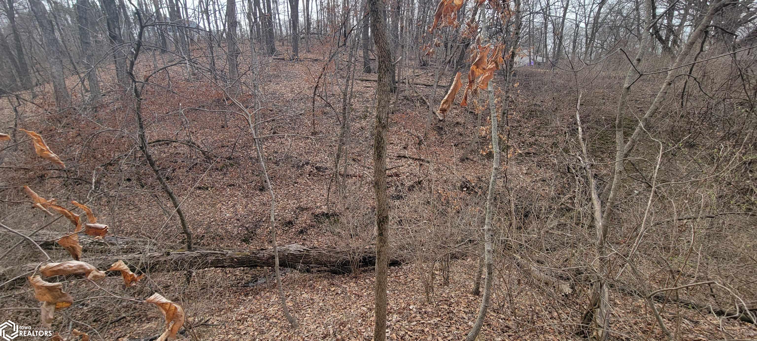 718 E County Rd. 1550 Road, Hamilton, Illinois image 18