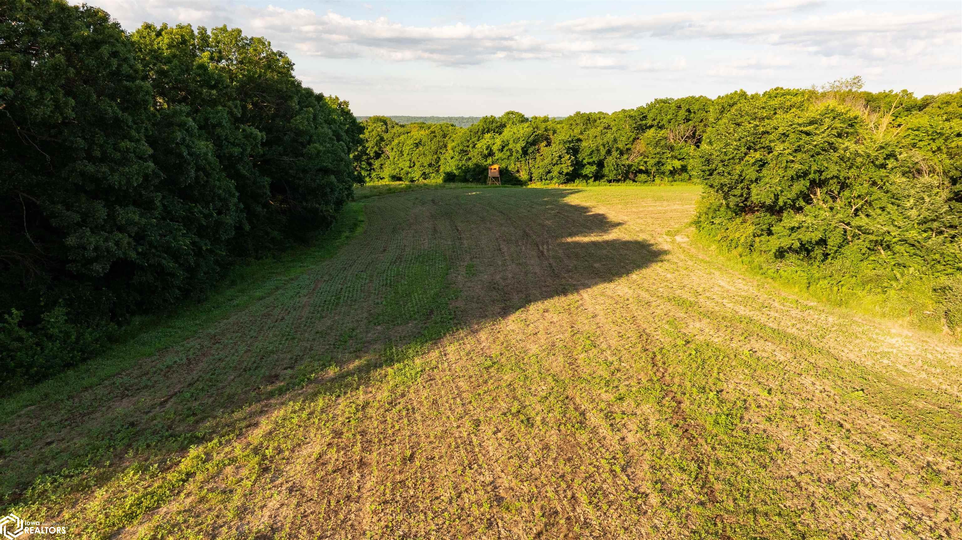 000 63rd Avenue, Eldon, Iowa image 23