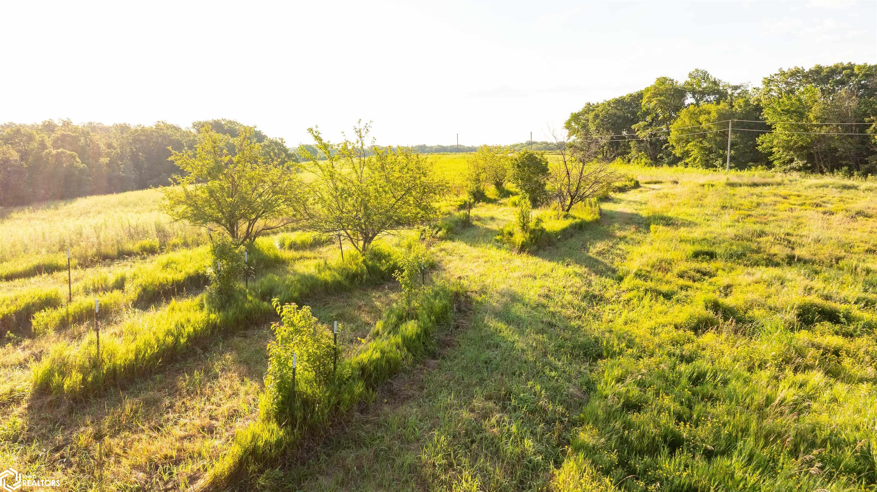 000 63rd Avenue, Eldon, Iowa image 37