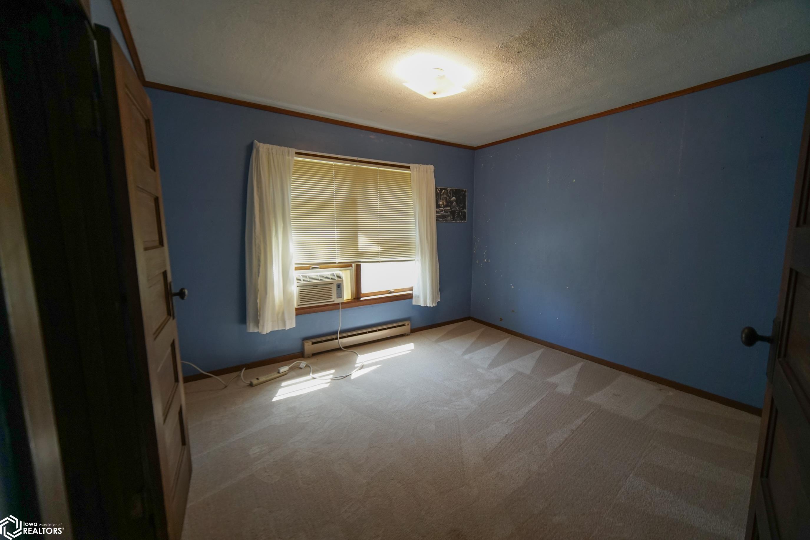 610 7th Ave, Ackley, Iowa image 21