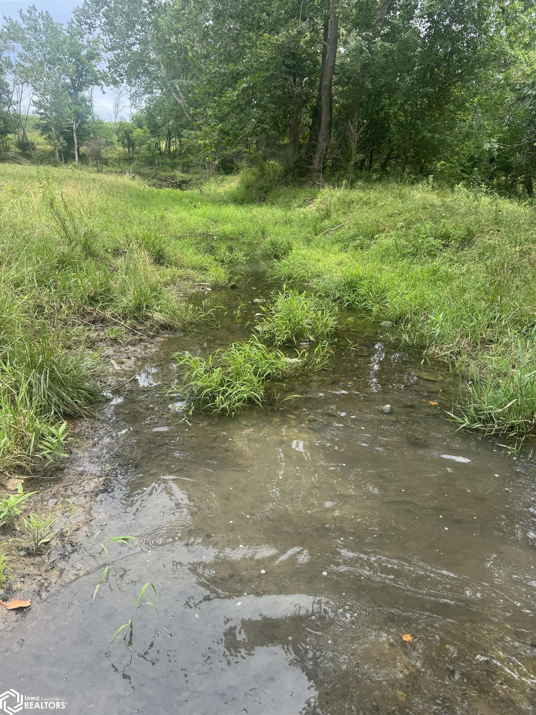 Route J40, Bonaparte, Iowa image 11