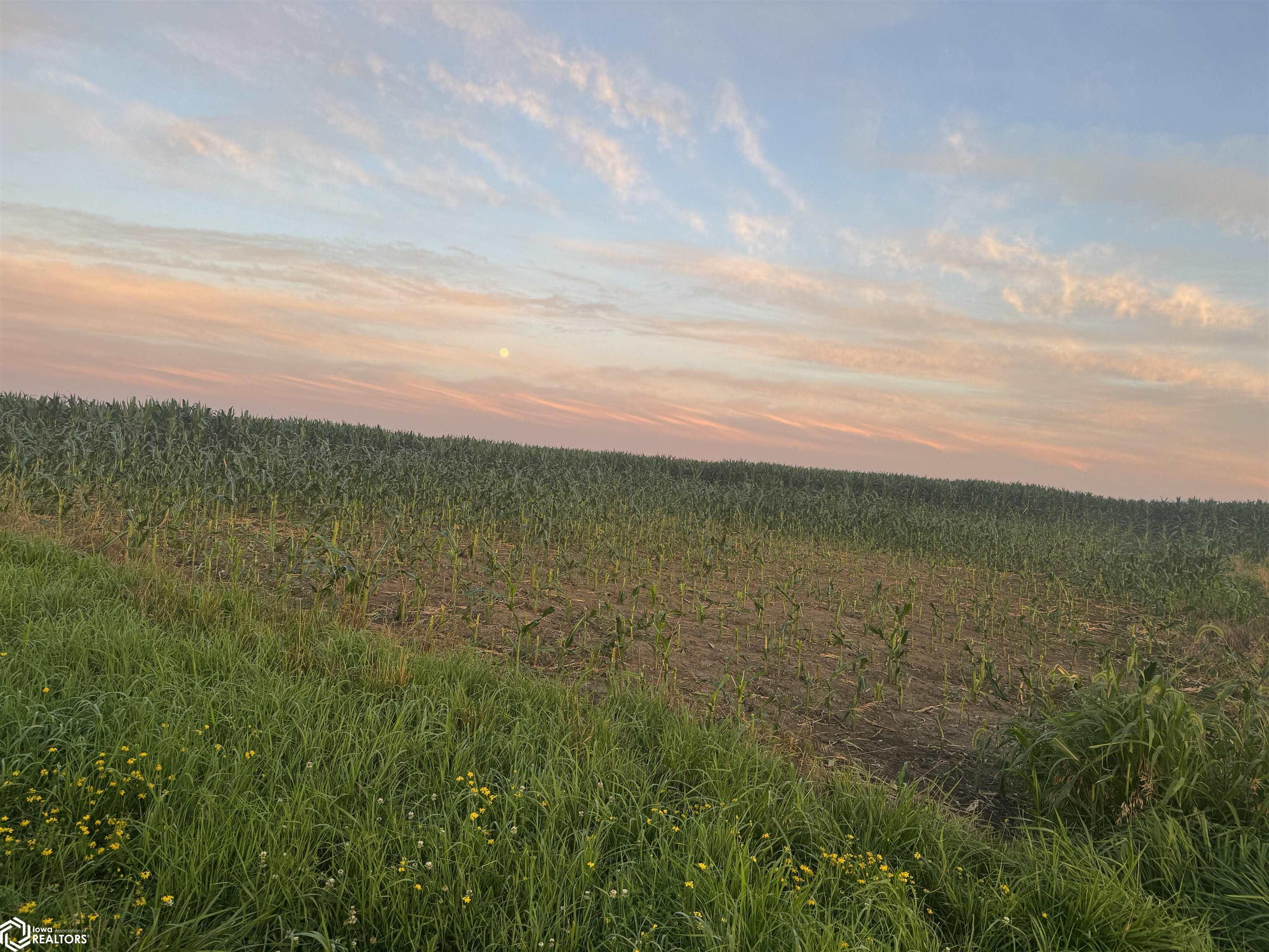 Route J40, Bonaparte, Iowa image 14