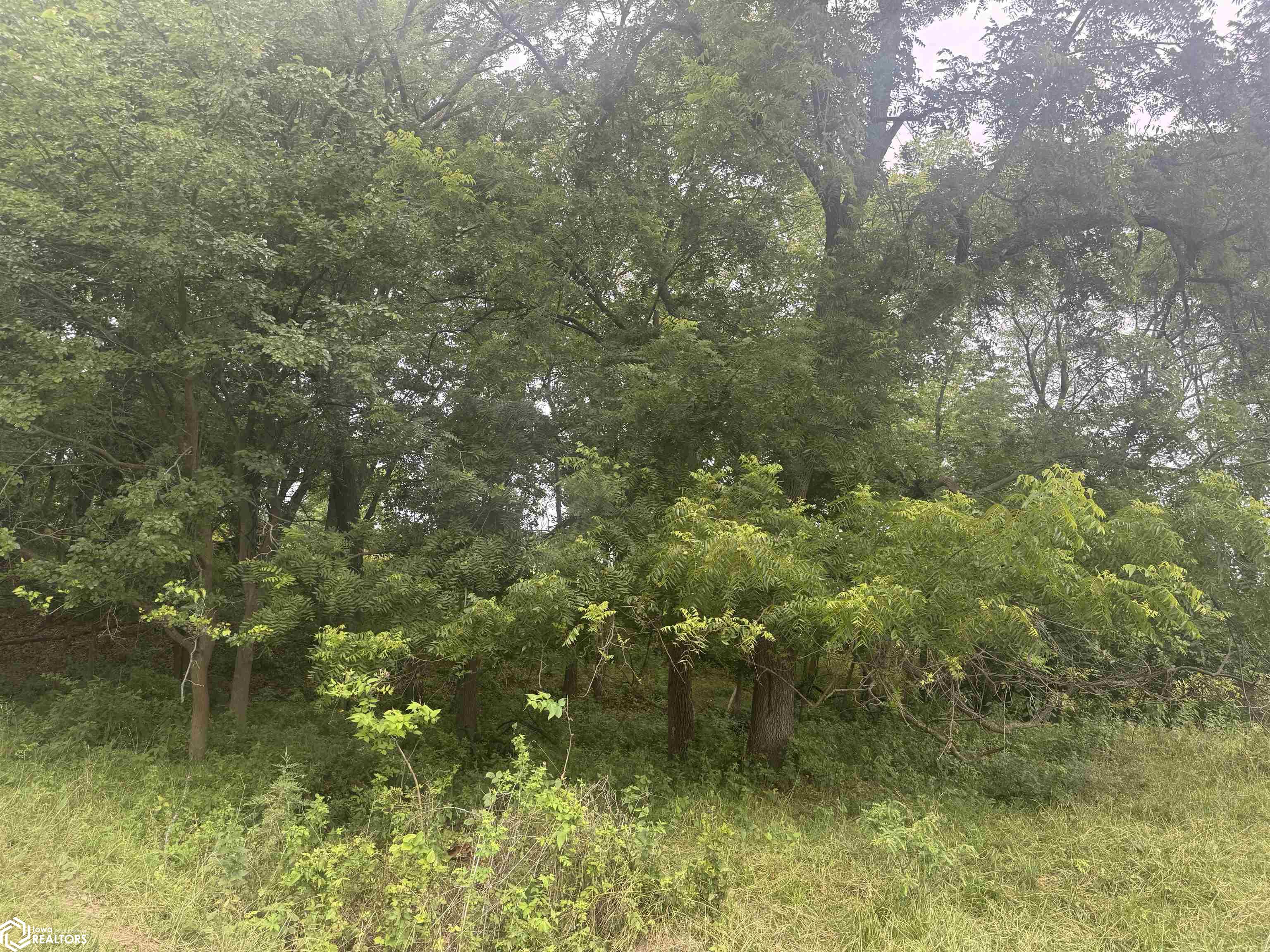 Route J40, Bonaparte, Iowa image 7