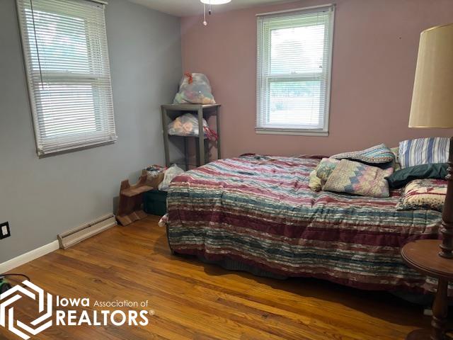 344 S Benton Street, Lomax, Illinois image 7