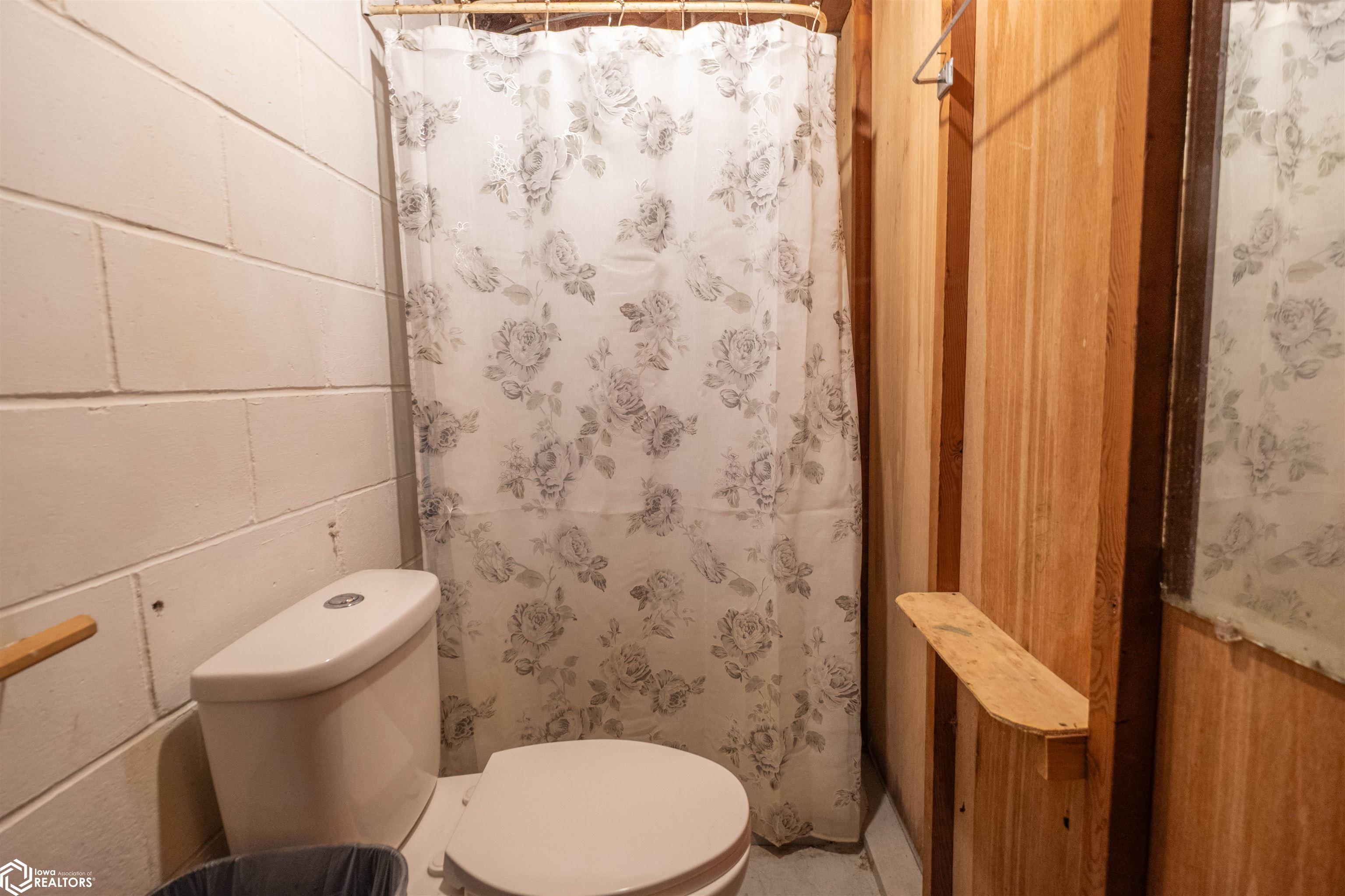 707 E Carleton Street, Toledo, Iowa image 14