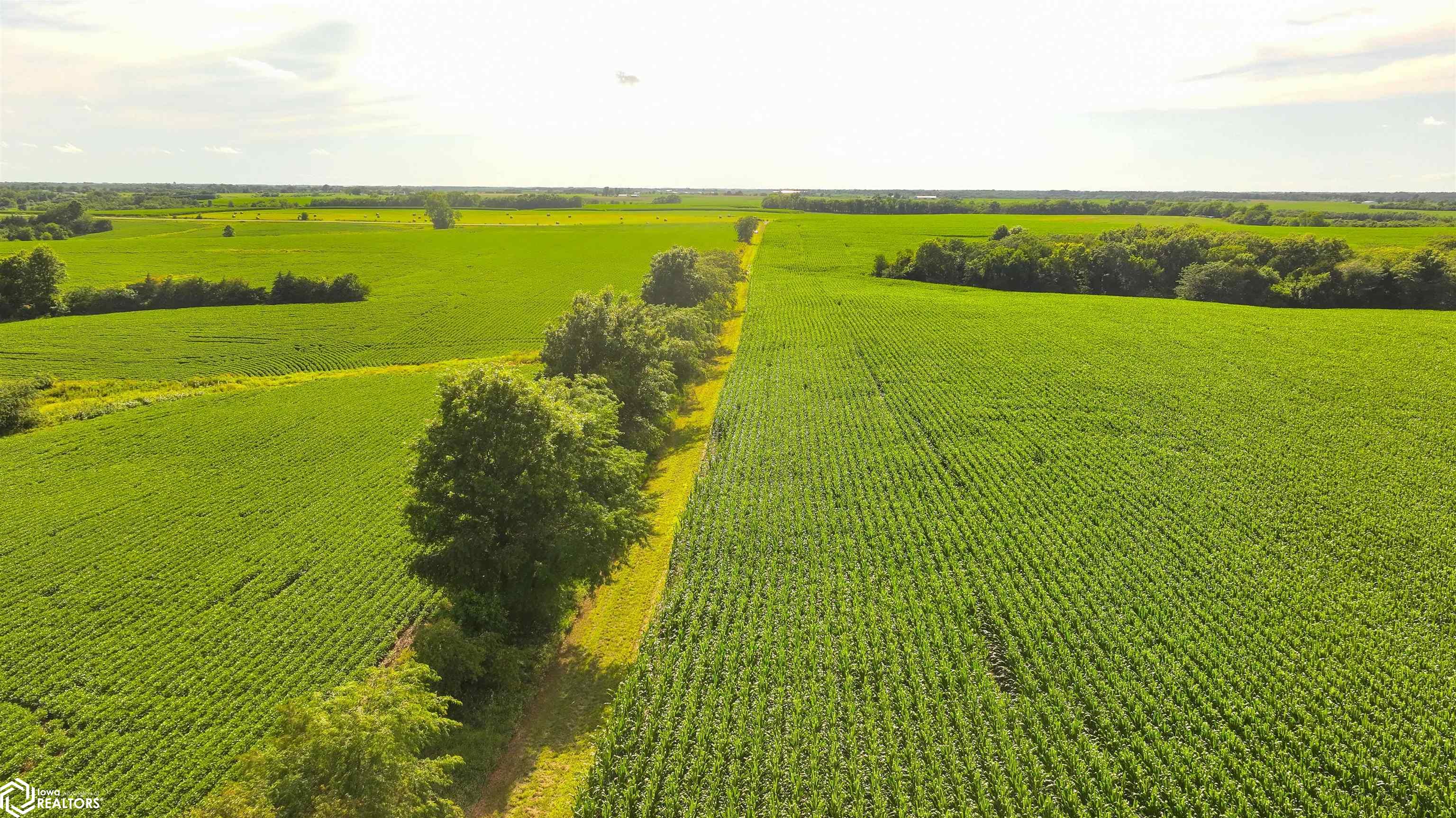 25416 Nuthatch Avenue, Bloomfield, Iowa image 30