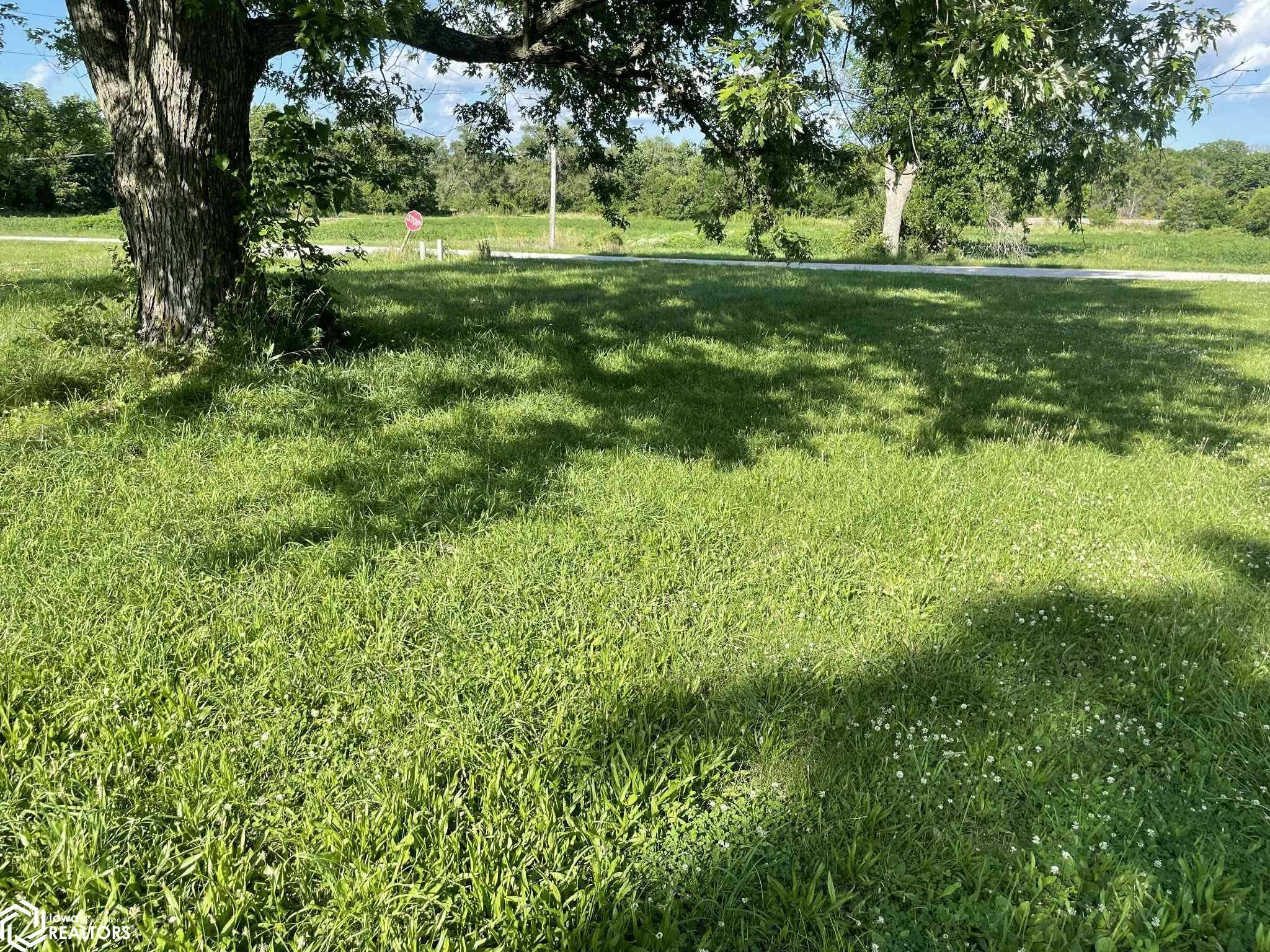 Blyth, Mystic, Iowa image 4