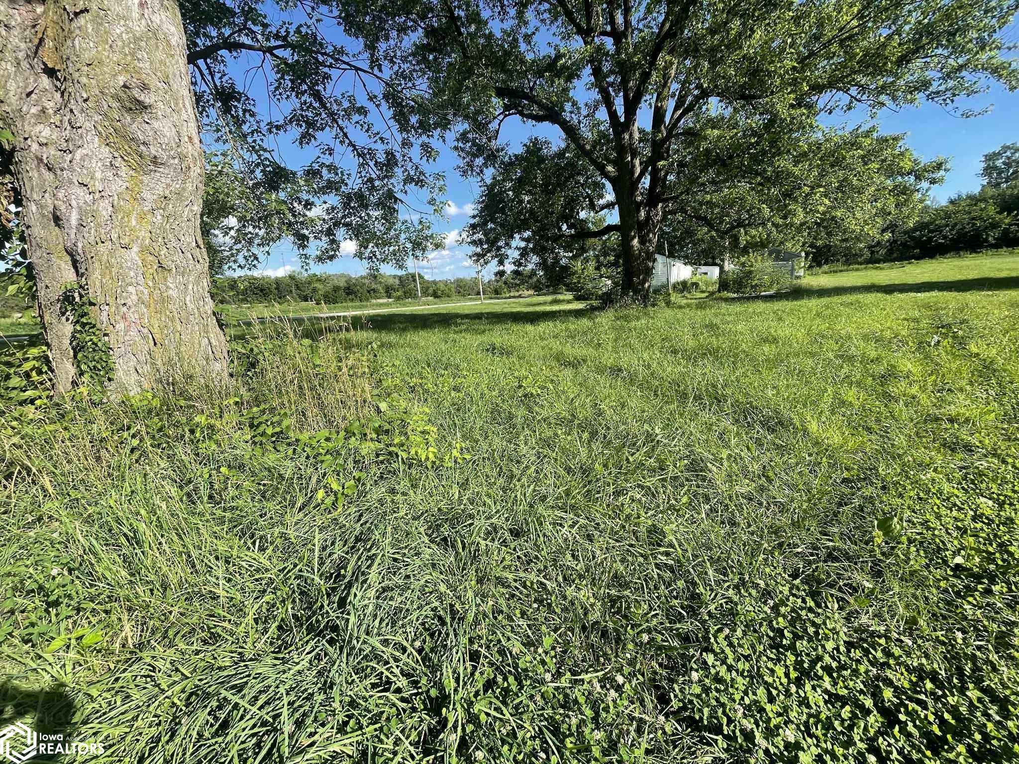 Blyth, Mystic, Iowa image 6