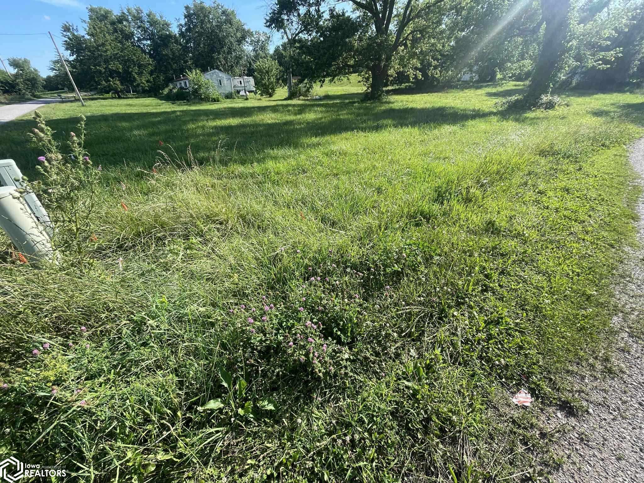 Blyth, Mystic, Iowa image 7
