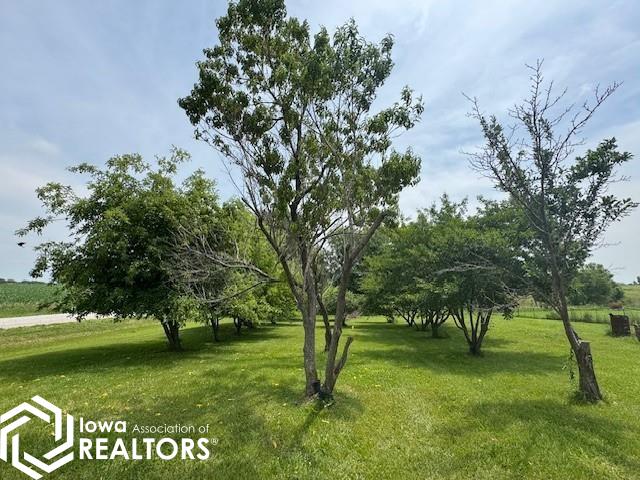 12255 524th Street, Seymour, Iowa image 3