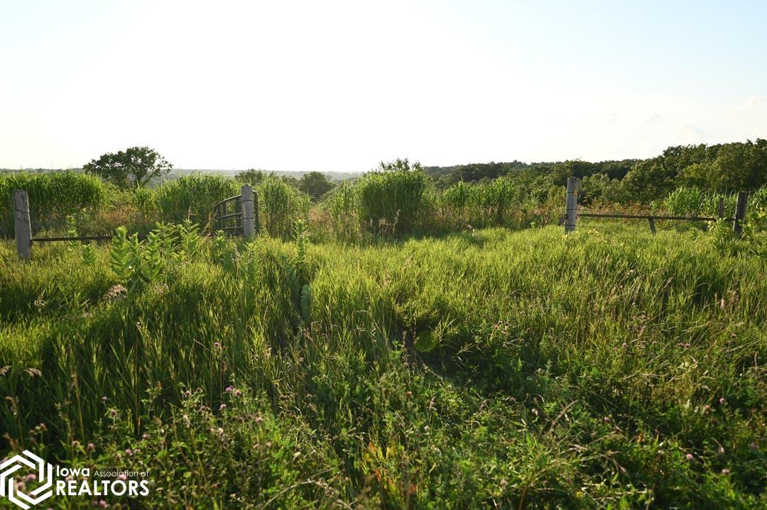 53205 235 Trail, Chariton, Iowa image 13