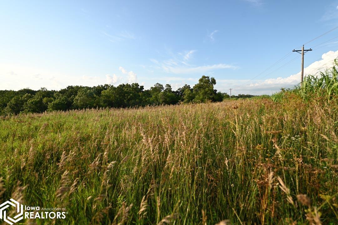 53205 235 Trail, Chariton, Iowa image 15