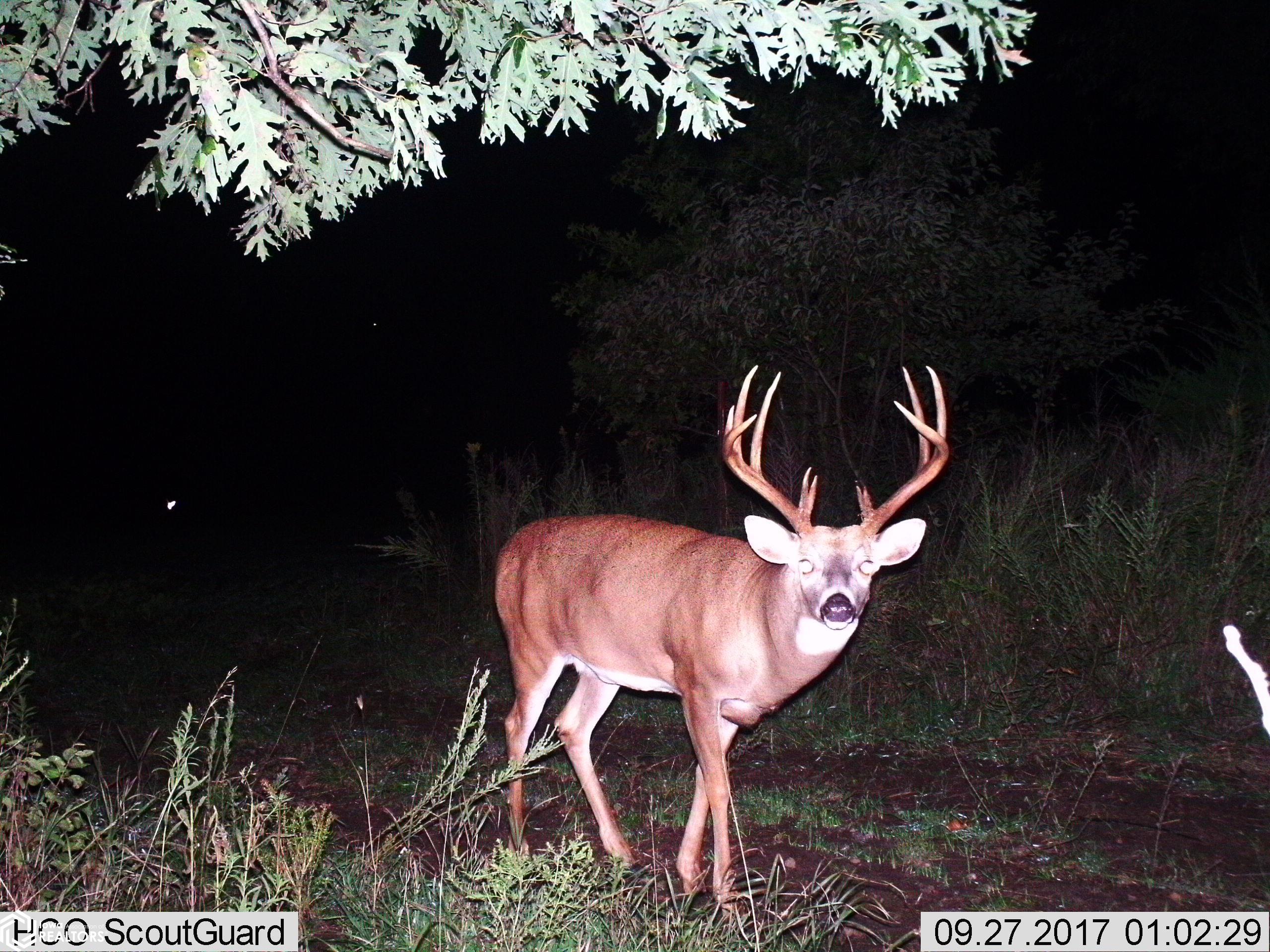 53205 235 Trail, Chariton, Iowa image 18