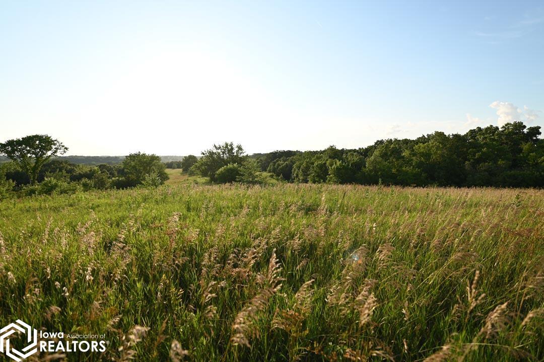 53205 235 Trail, Chariton, Iowa image 3