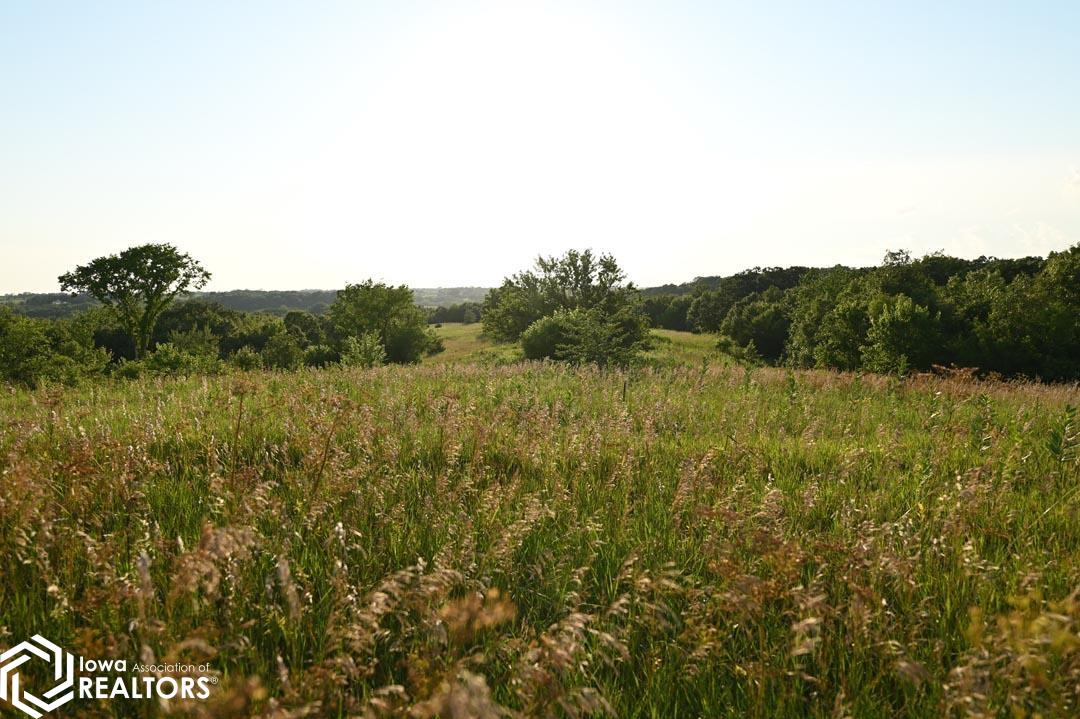 53205 235 Trail, Chariton, Iowa image 25