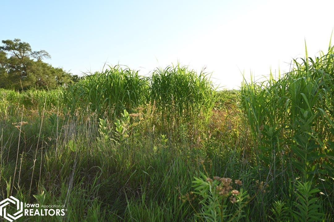 53205 235 Trail, Chariton, Iowa image 34