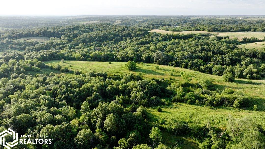 53205 235 Trail, Chariton, Iowa image 10