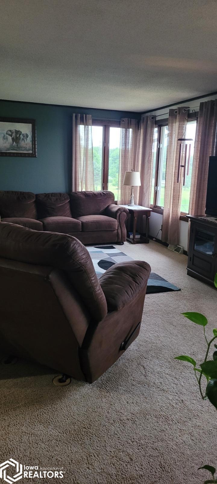 1065 E County Rd 2820, Niota, Illinois image 13