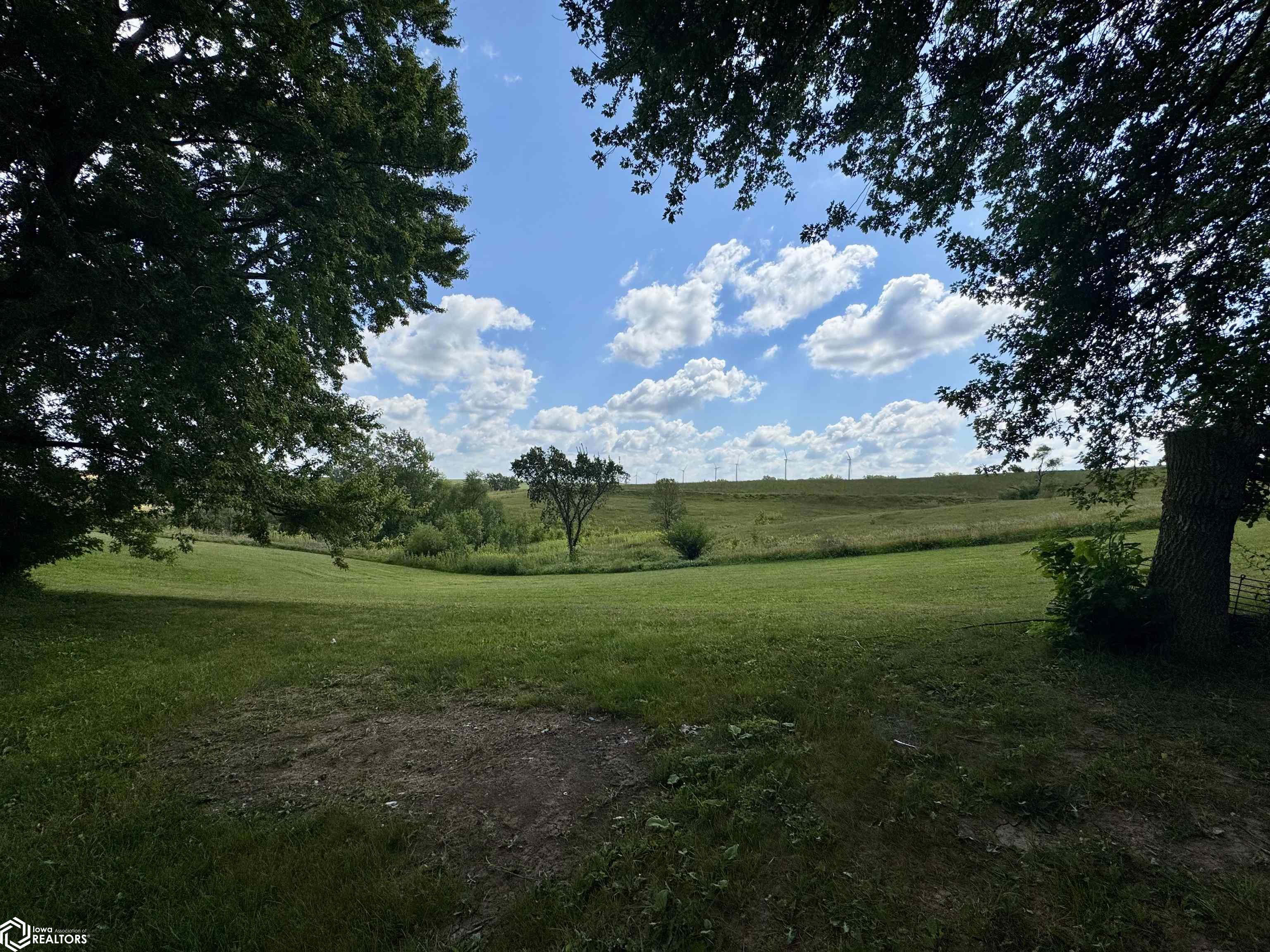portfolio-image